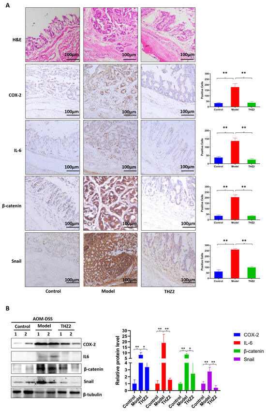 Biomedicines 12 00679 g004