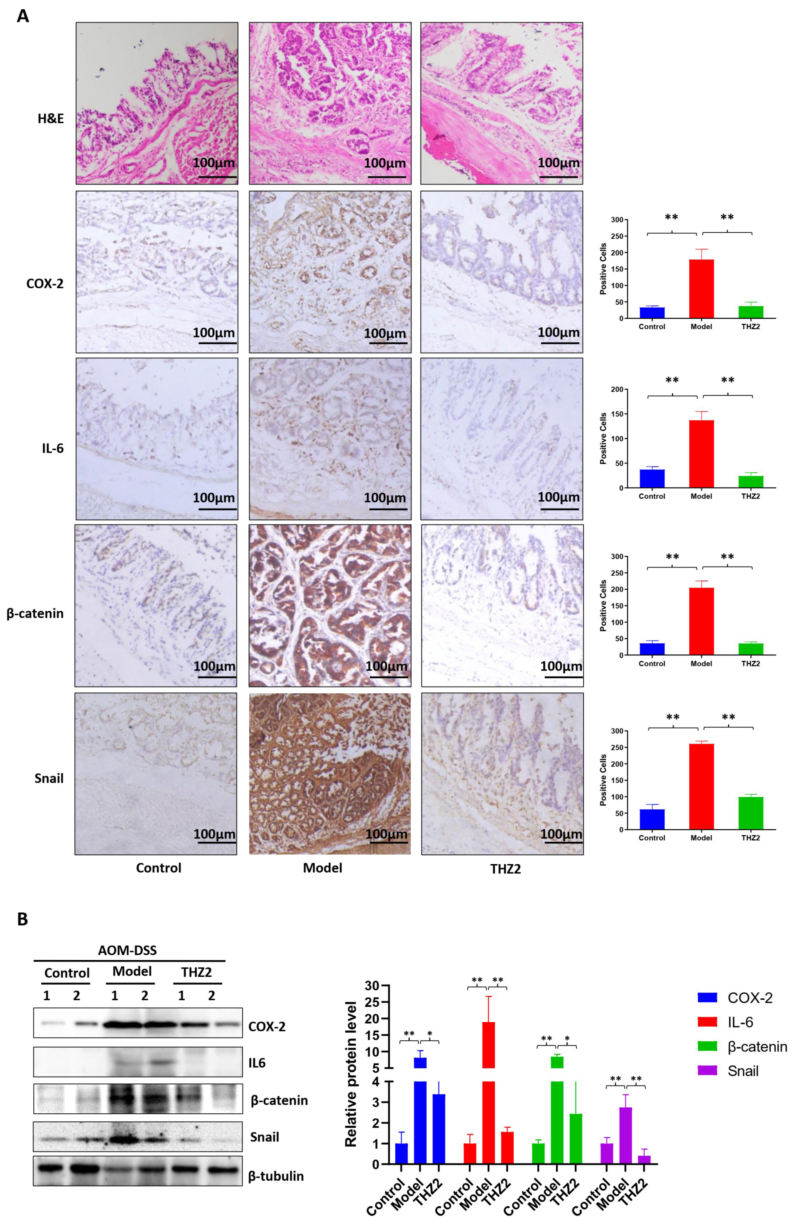 Biomedicines 12 00679 g004