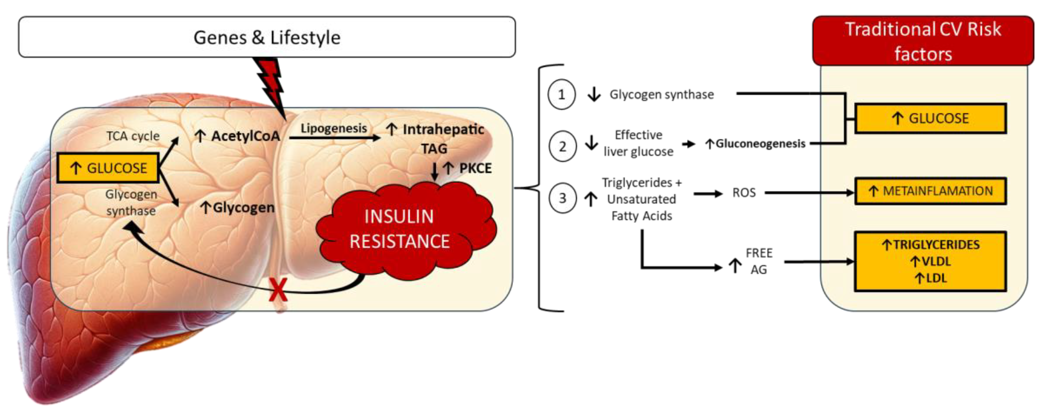 Biomedicines 12 00692 g001