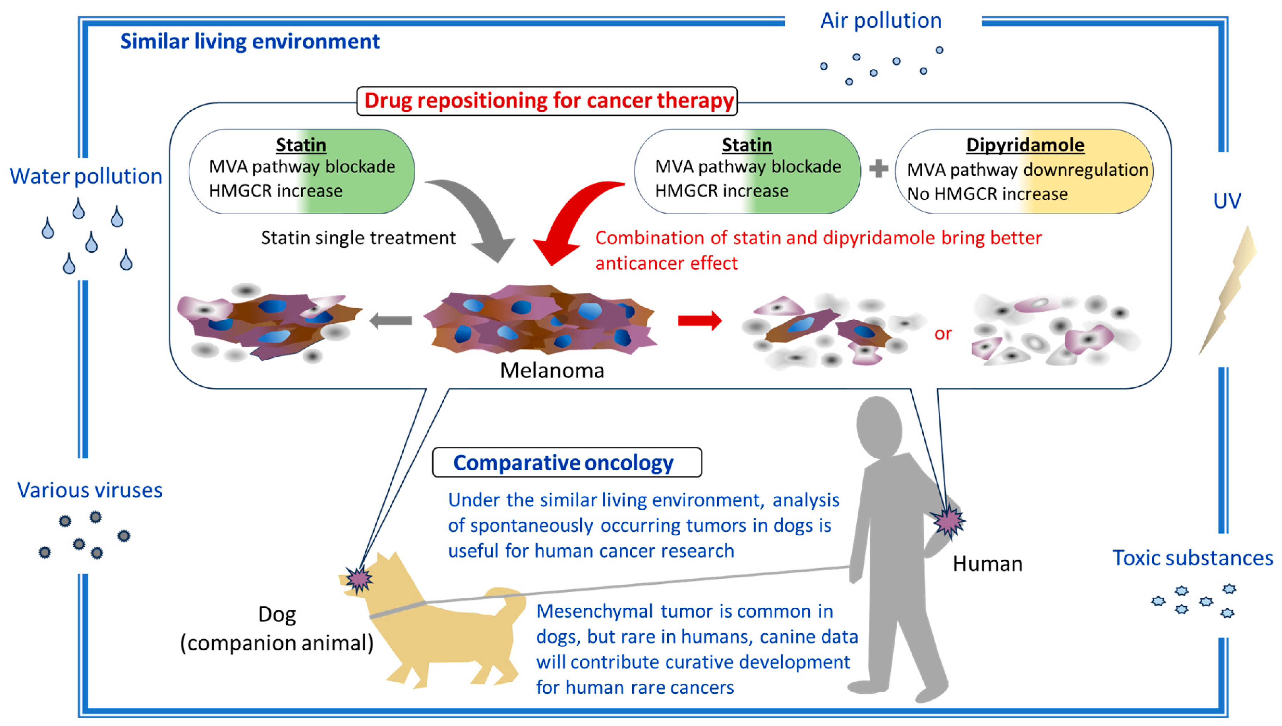 Biomedicines 12 00698 g005