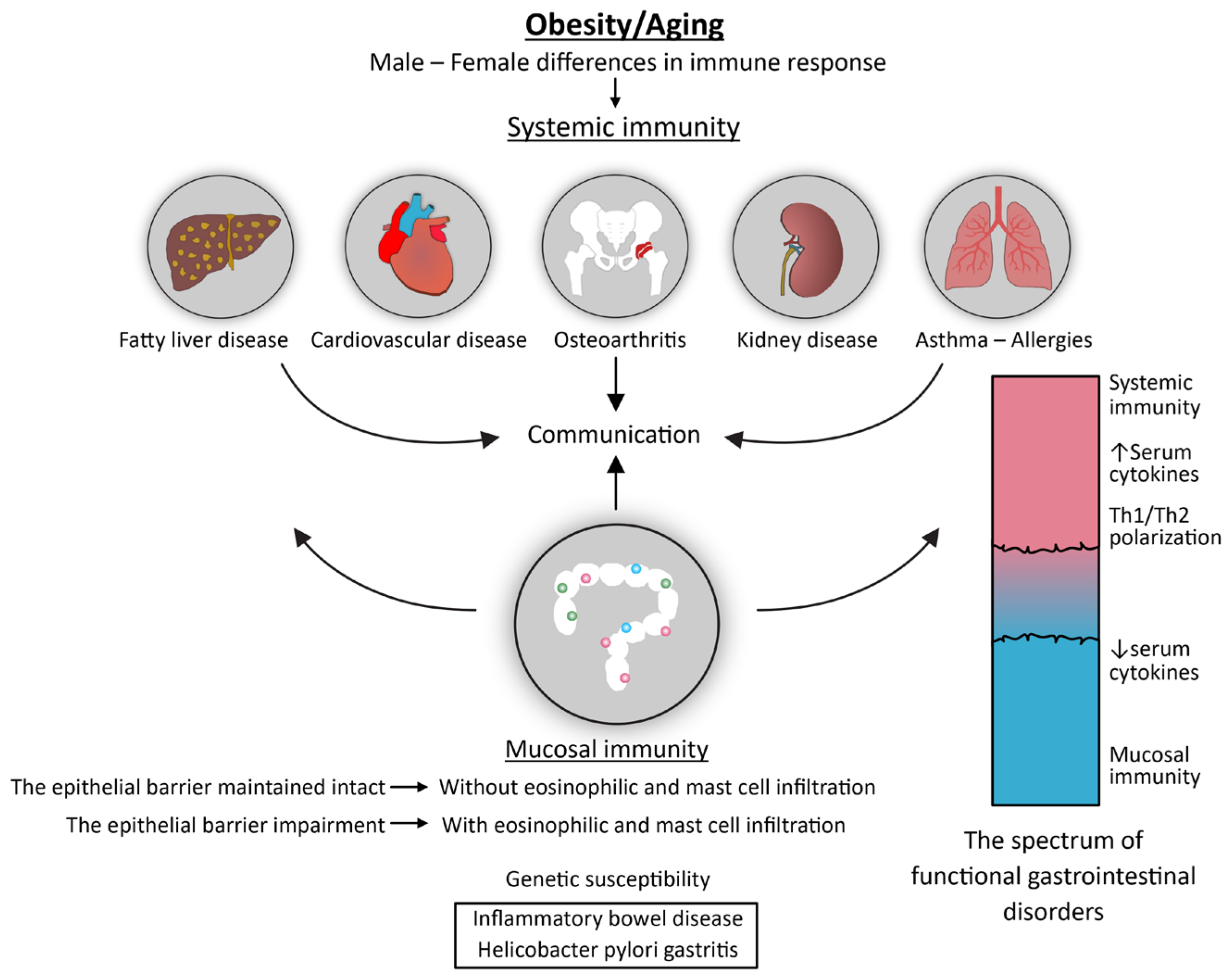 Biomedicines 12 00702 g003