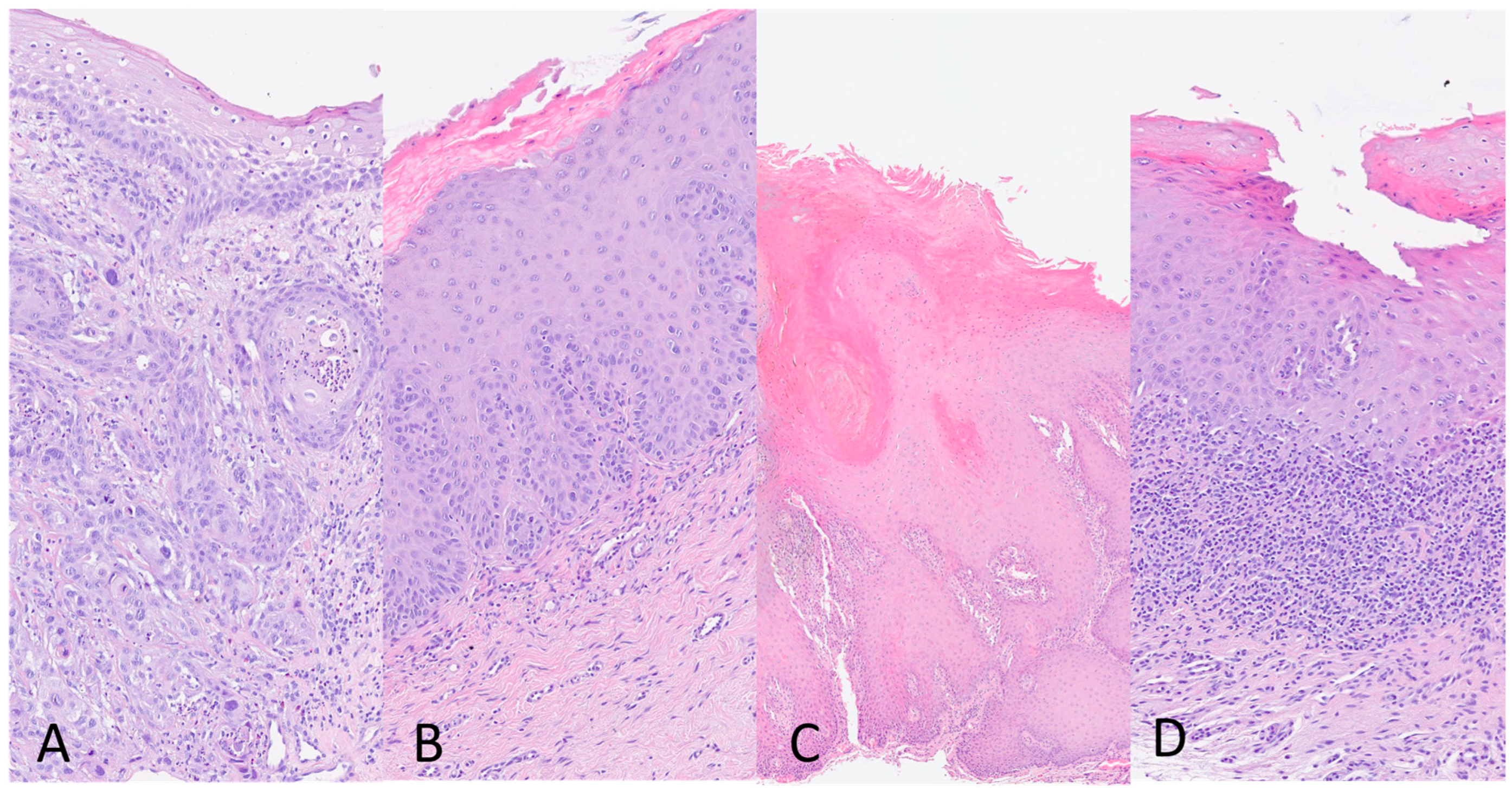 Biomedicines 12 00709 g001