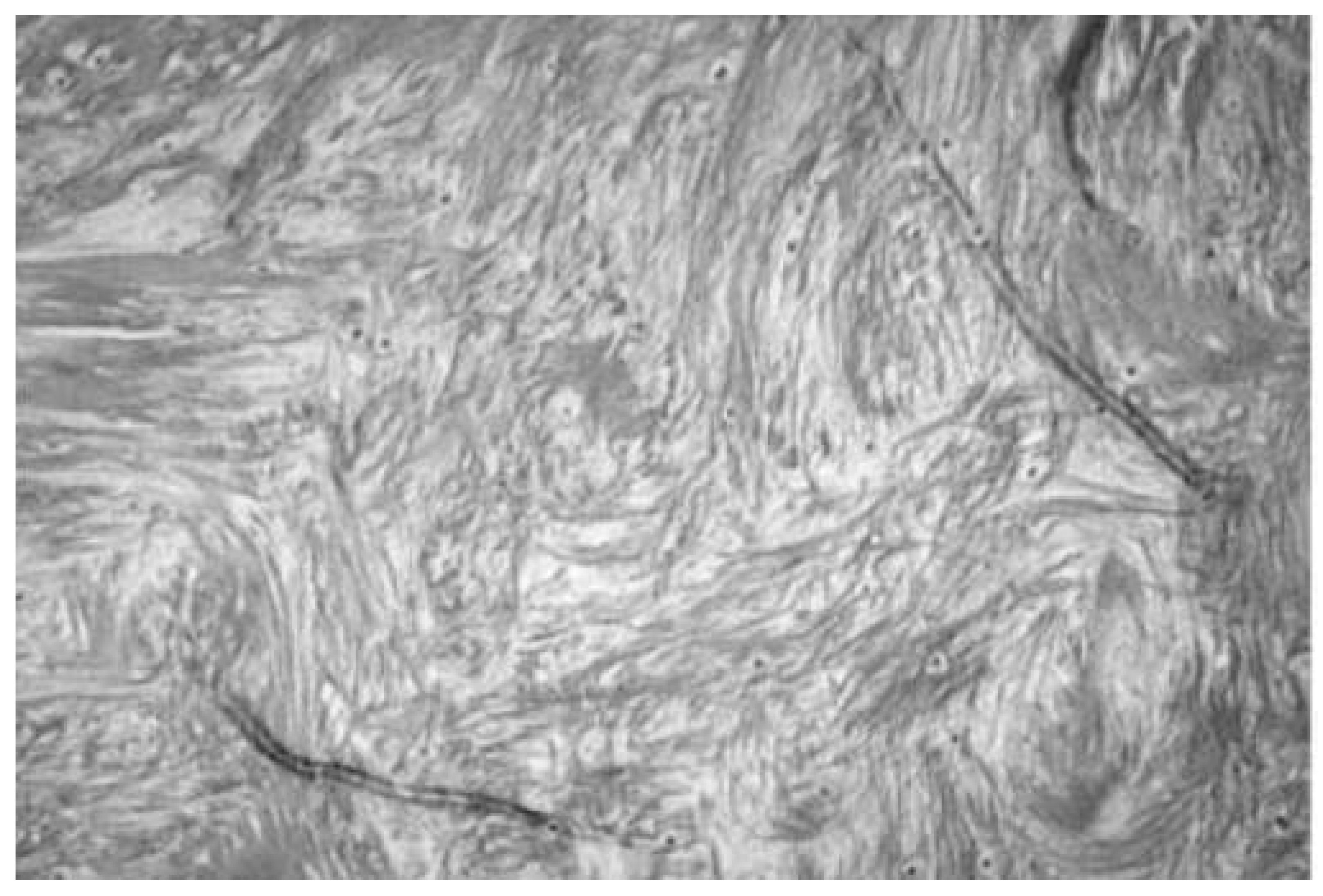 Biomedicines 12 00710 g005