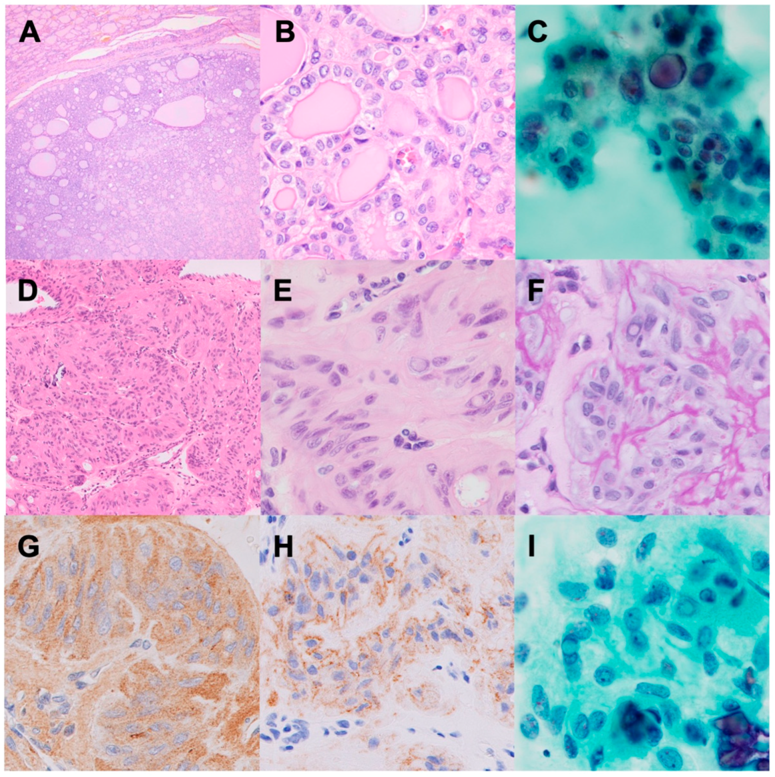 Biomedicines 12 00712 g002