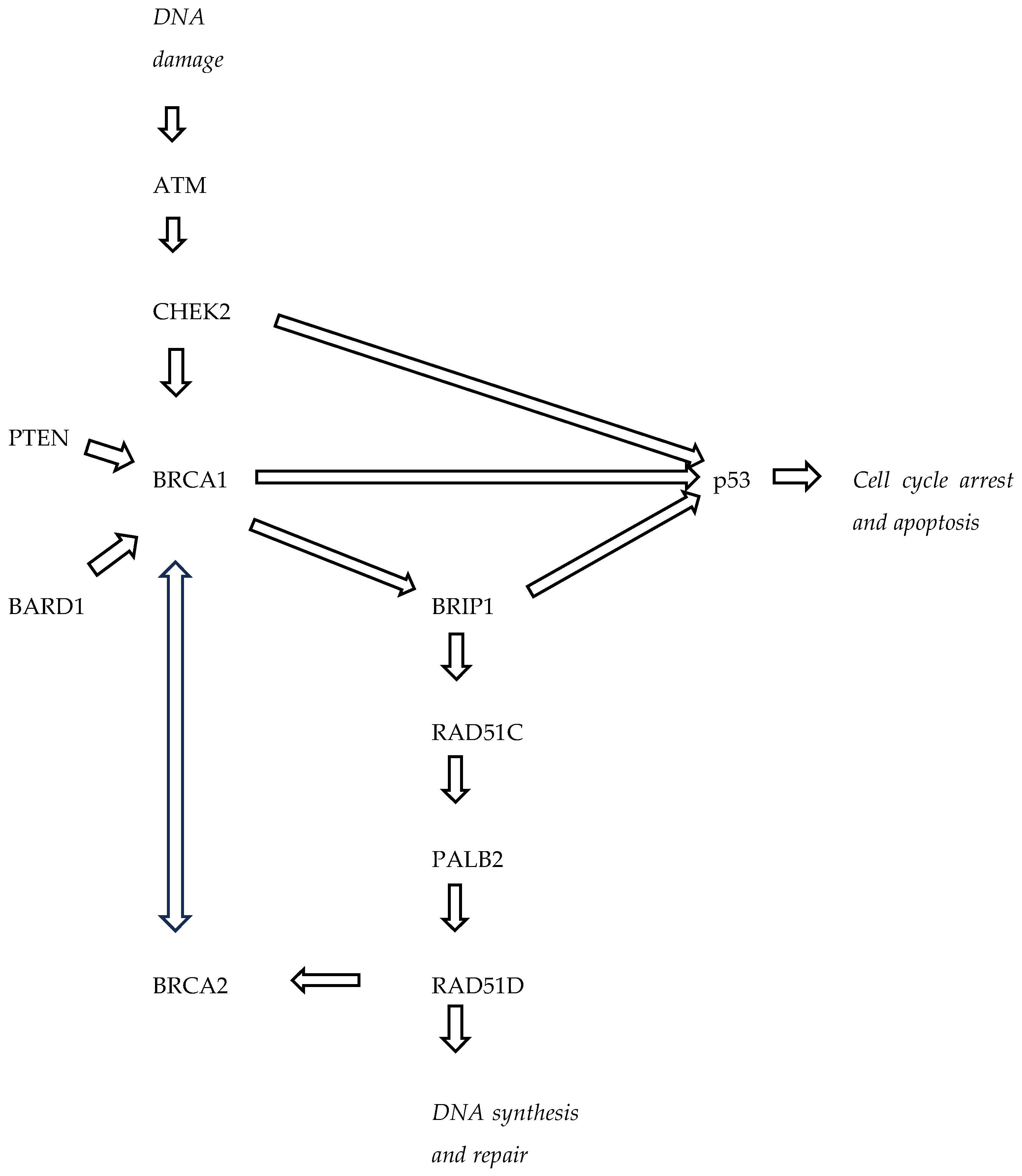 Biomedicines 12 00714 g001
