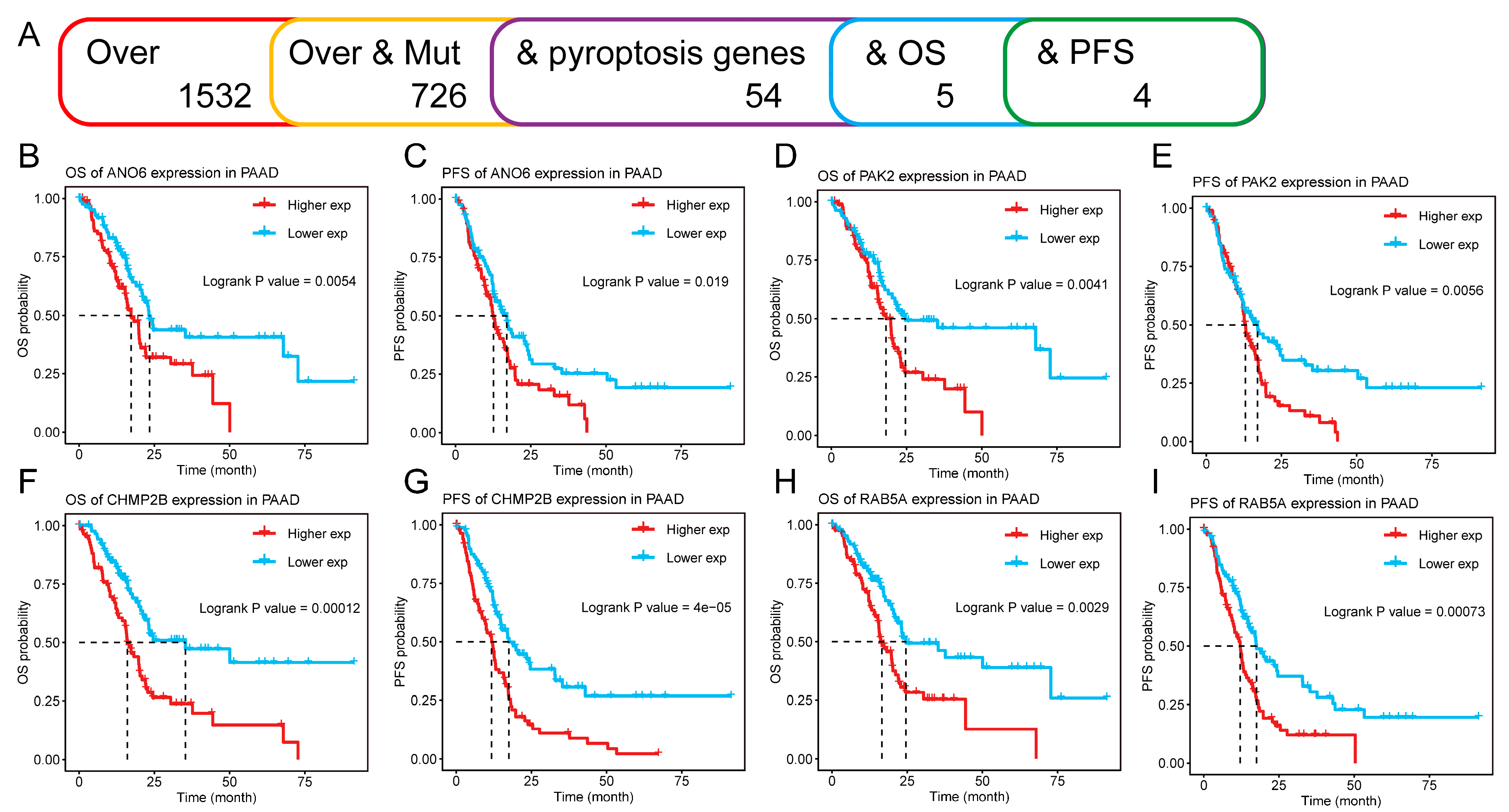 Biomedicines 12 00726 g002