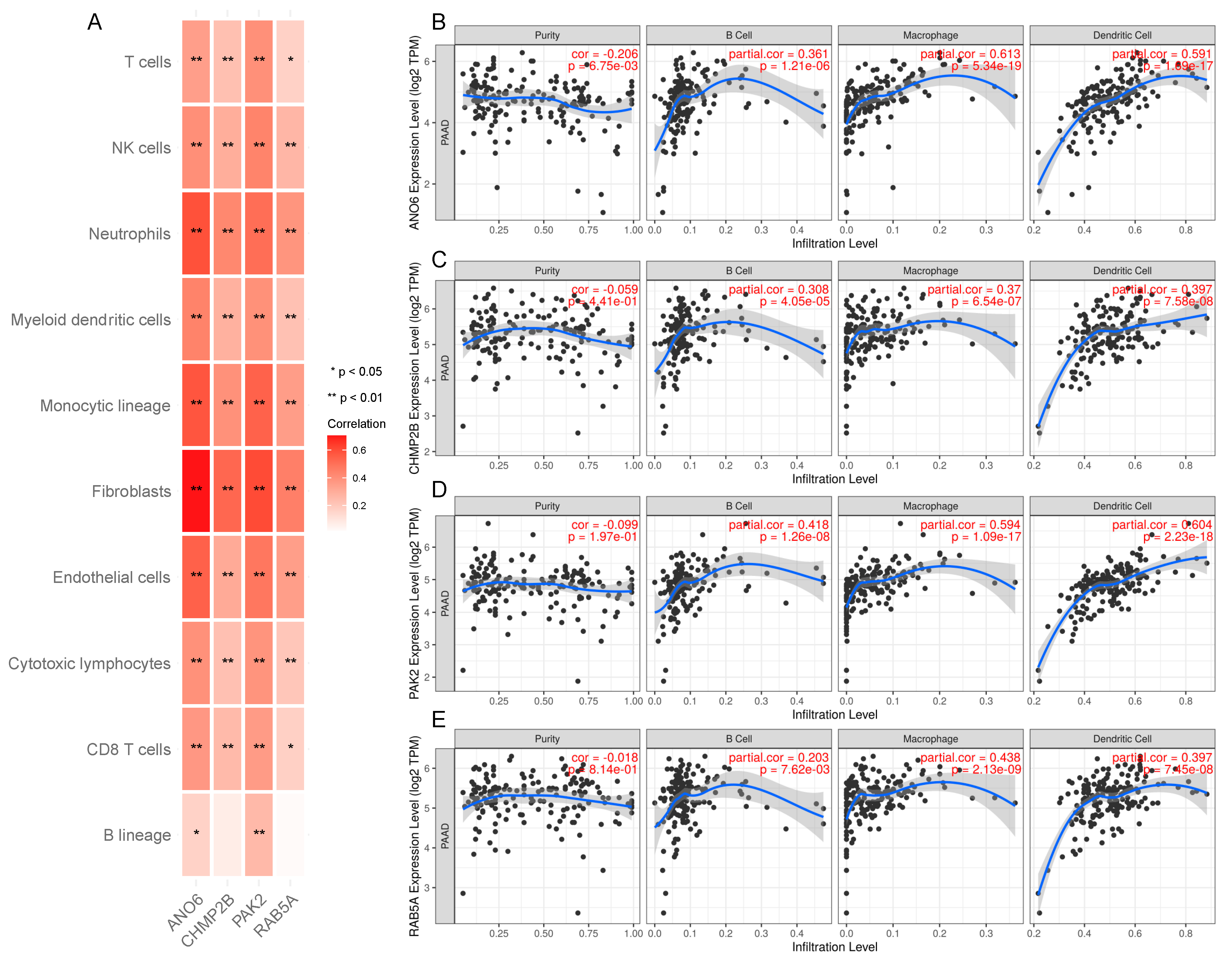 Biomedicines 12 00726 g003