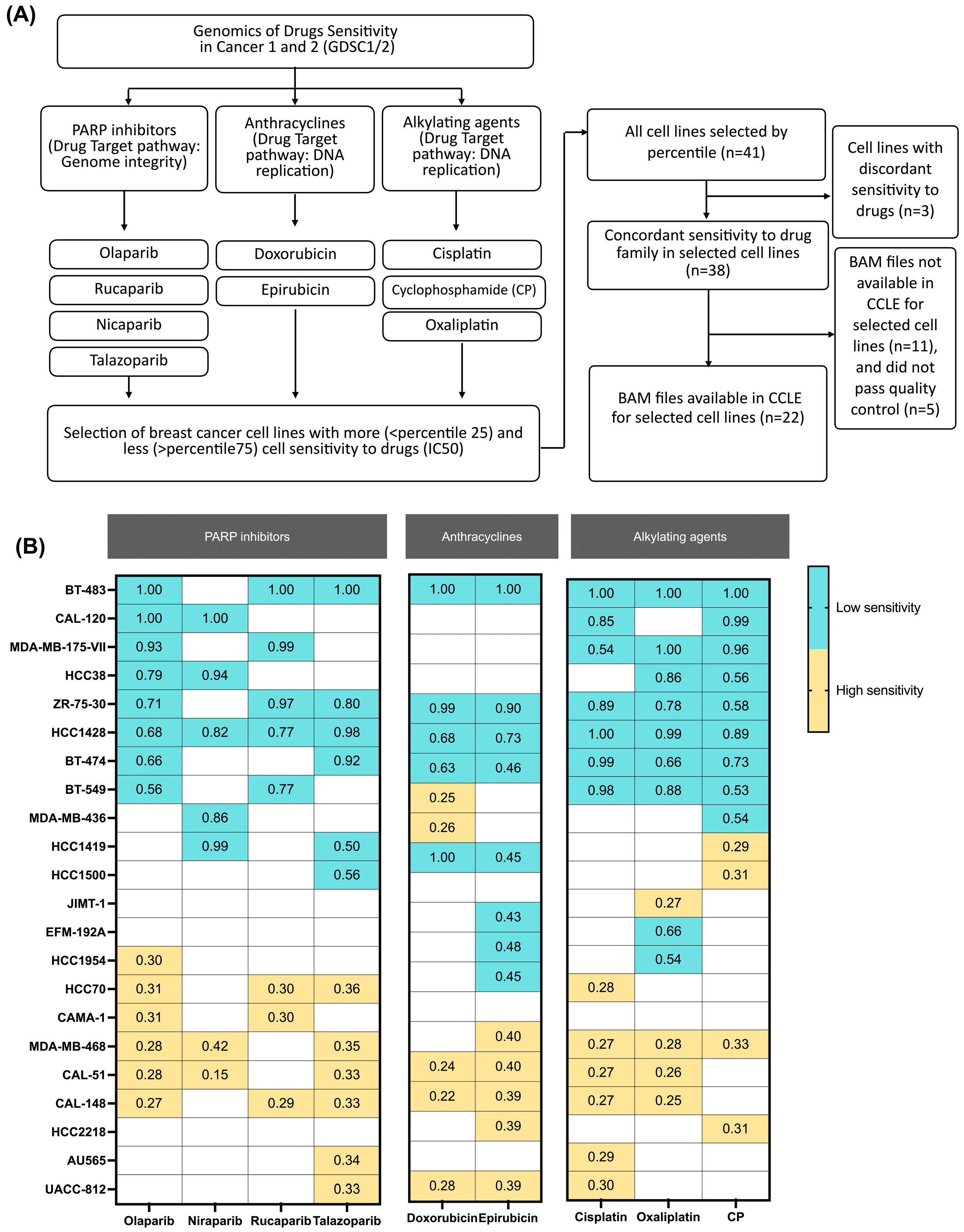 Biomedicines 12 00728 g001