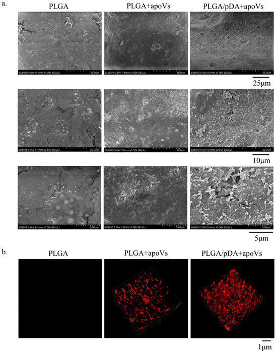 Biomedicines 12 00730 g0a6
