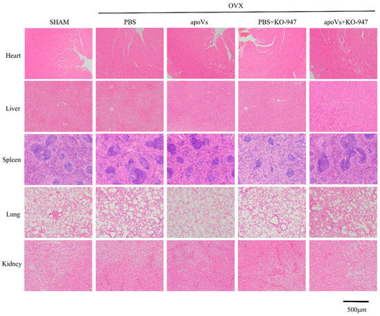 Biomedicines 12 00730 g0a8