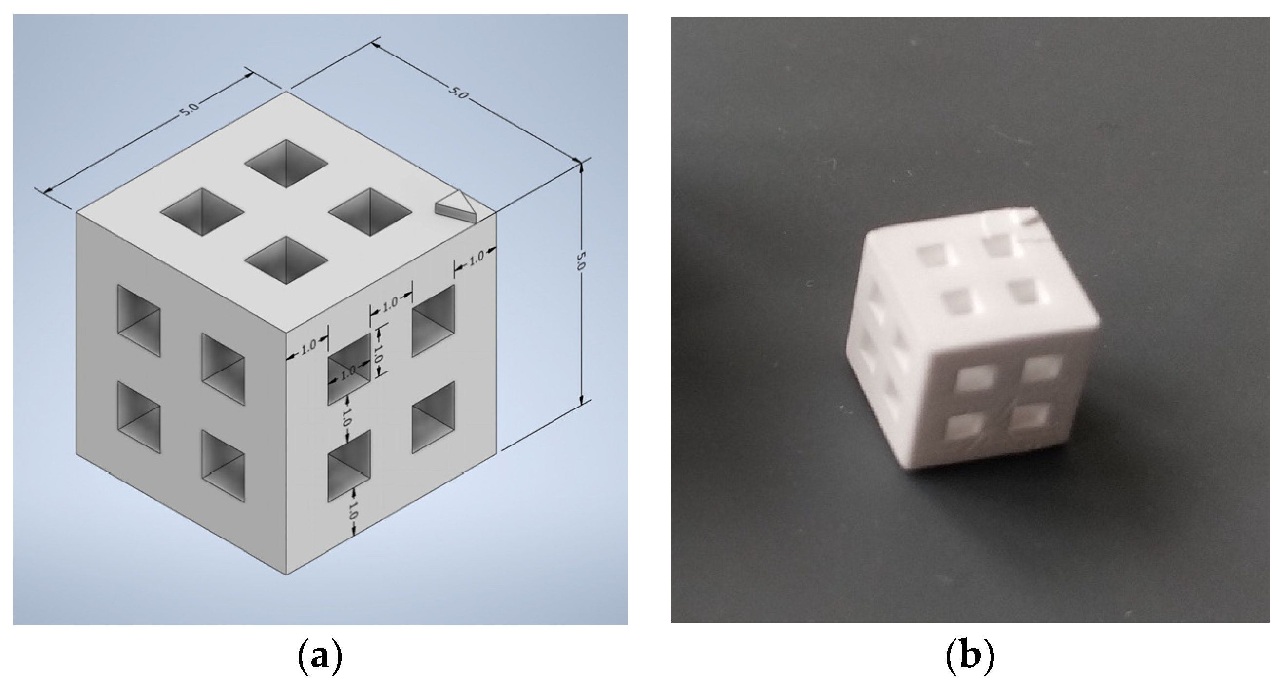 Biomedicines 12 00736 g003