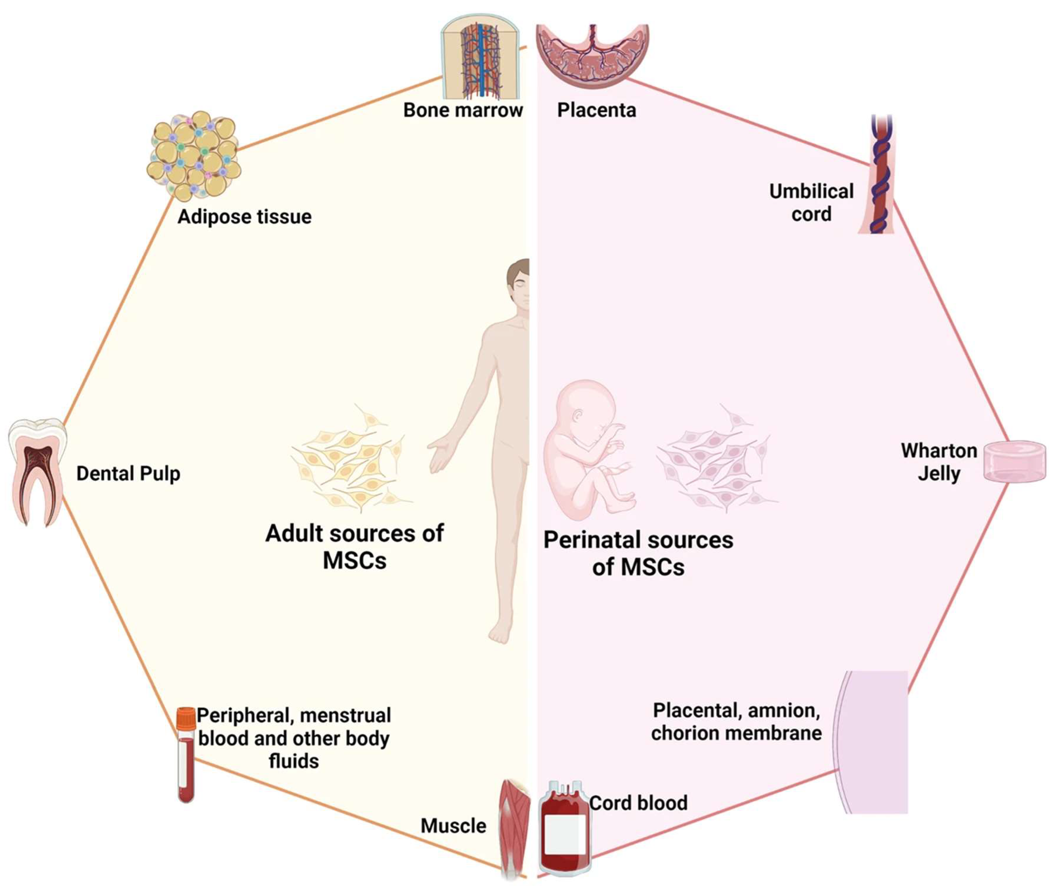 Biomedicines 12 00743 g002
