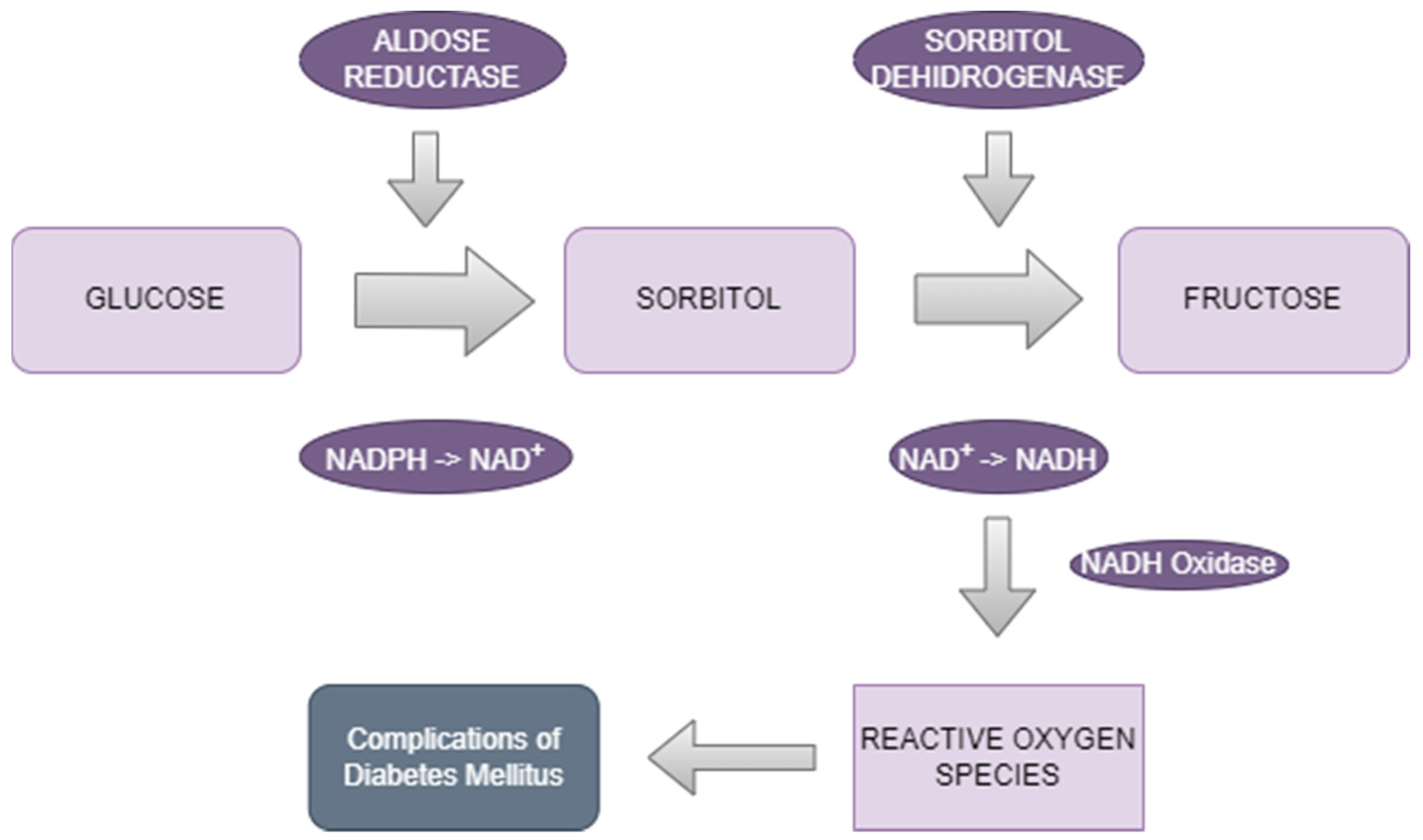 Biomedicines 12 00747 g001