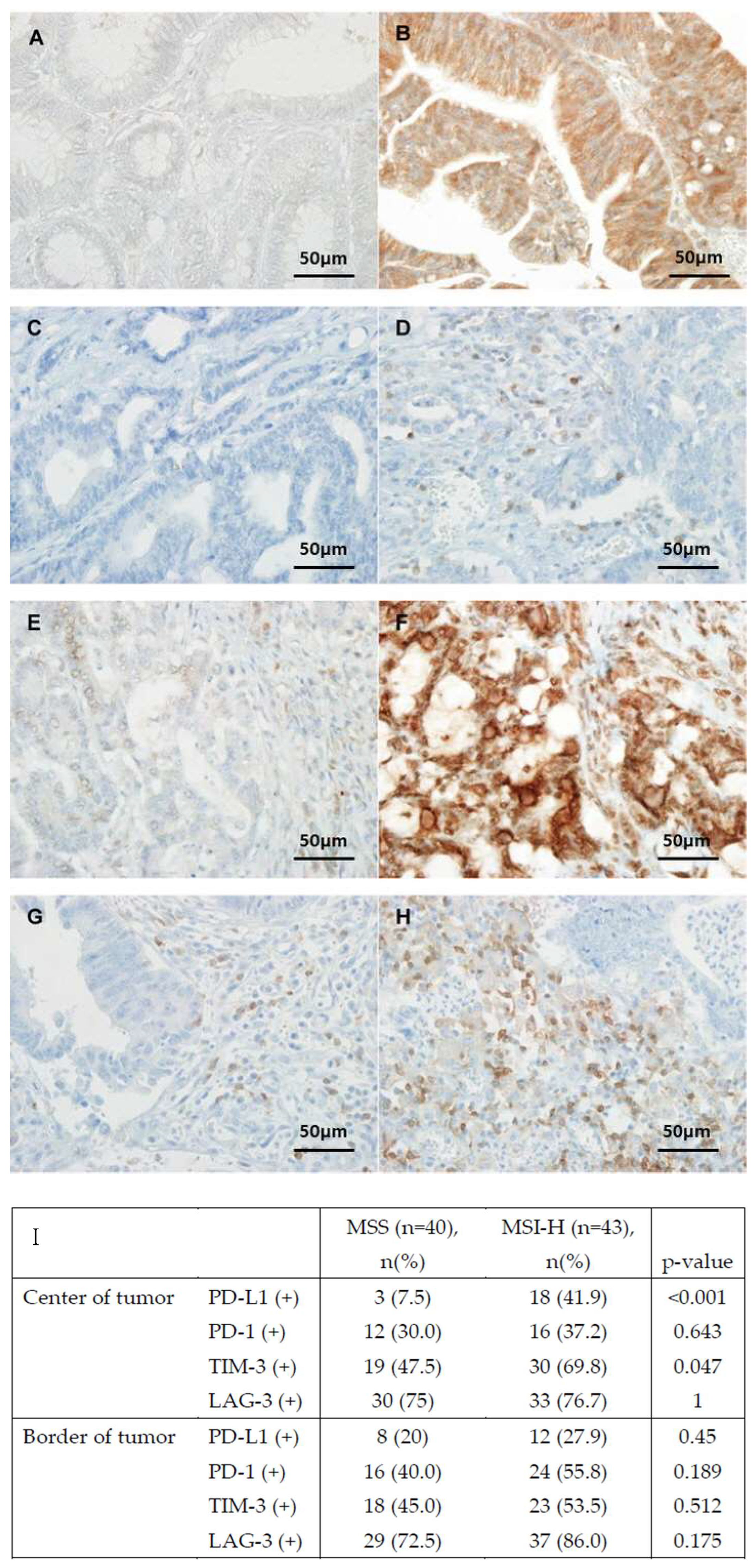 Biomedicines 12 00752 g001