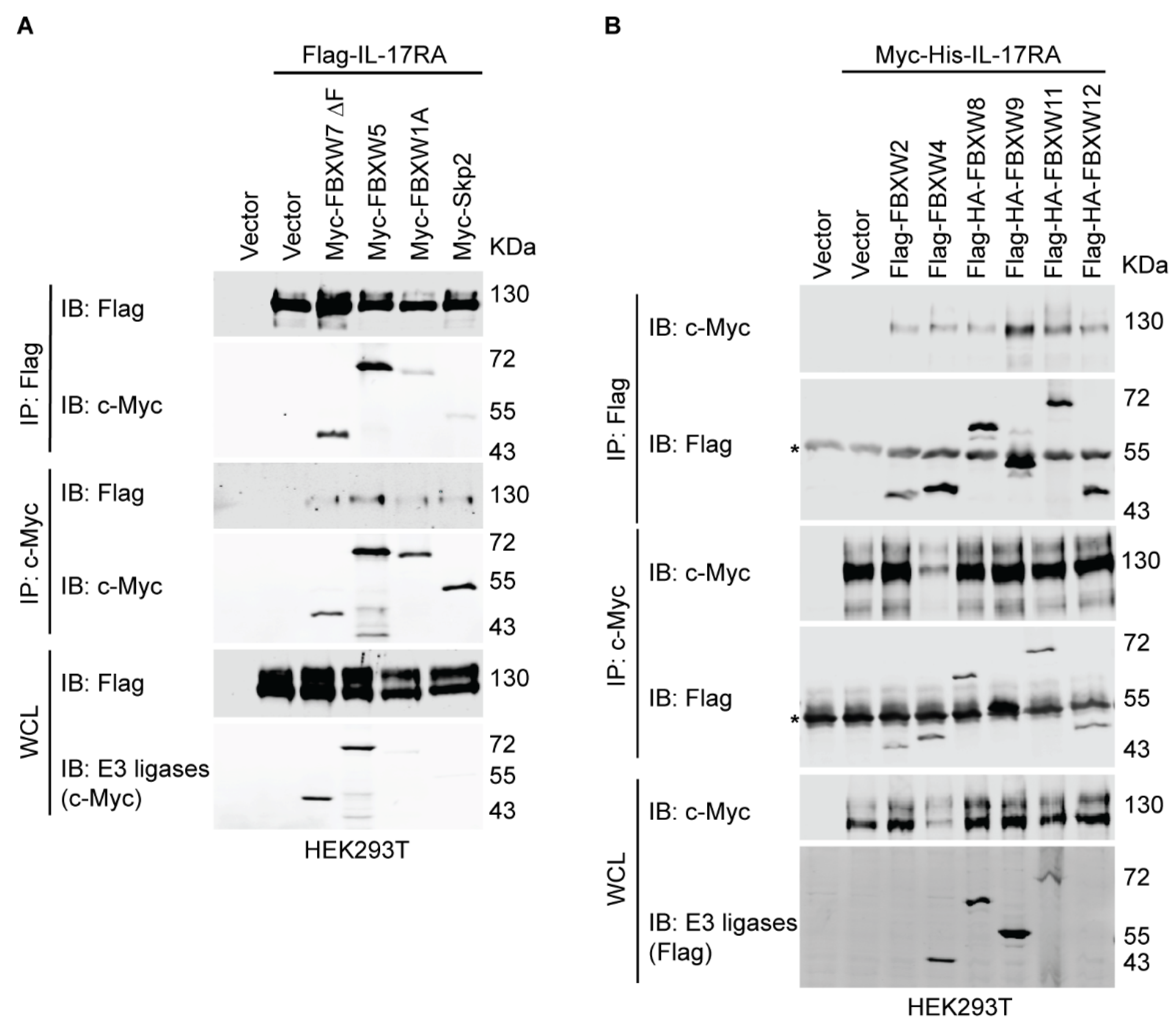 Biomedicines 12 00755 g002