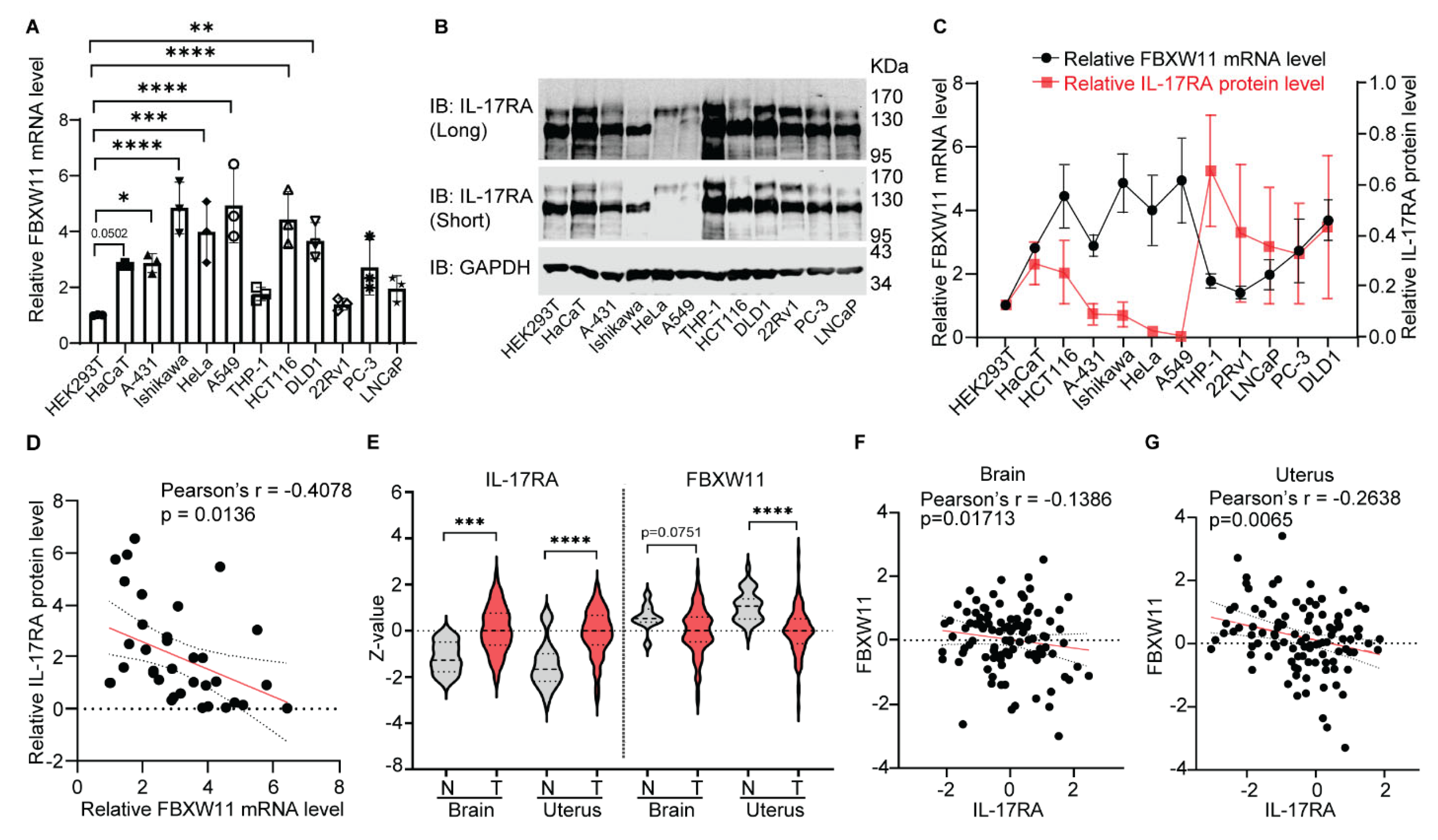 Biomedicines 12 00755 g005
