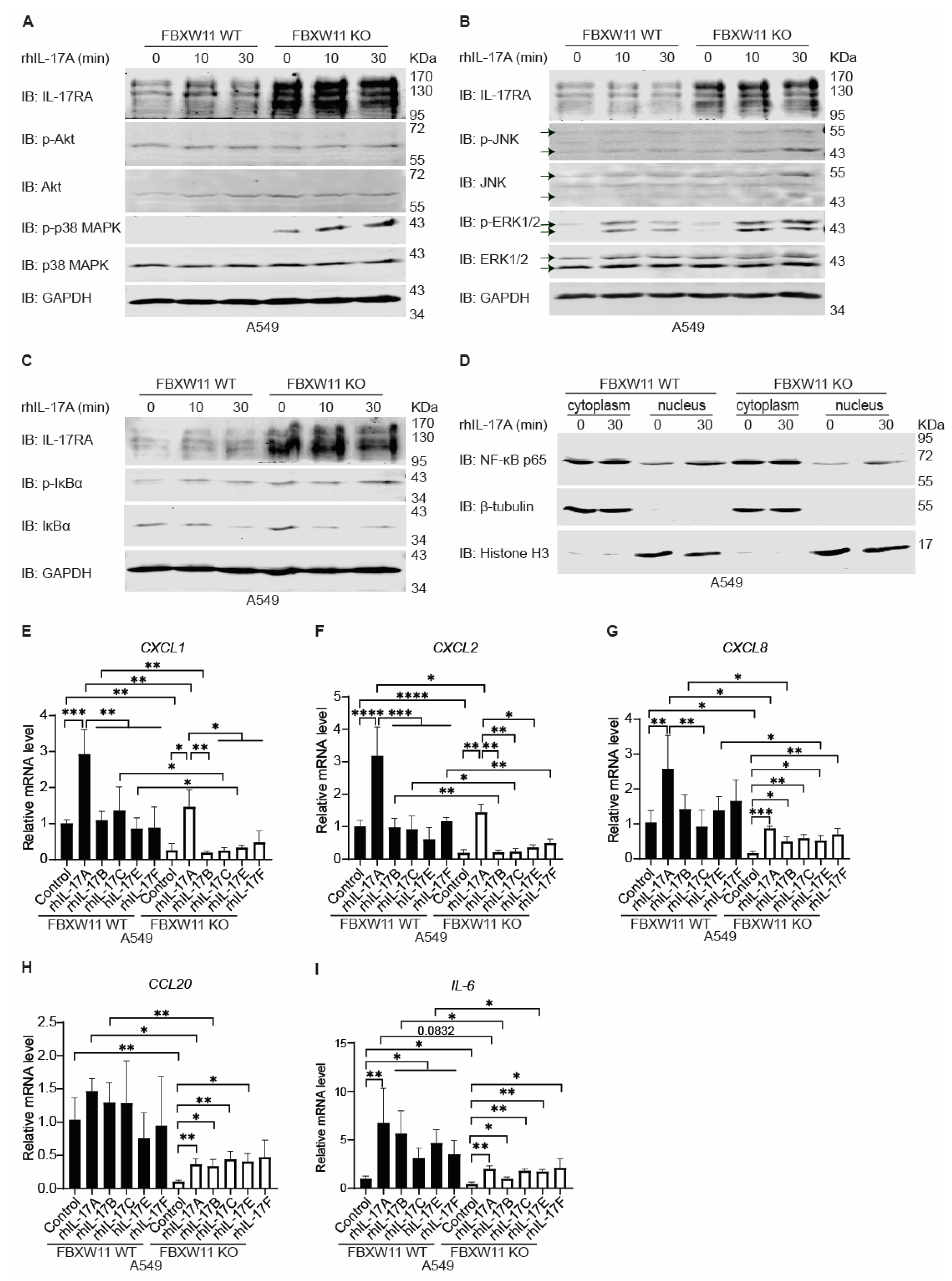 Biomedicines 12 00755 g007