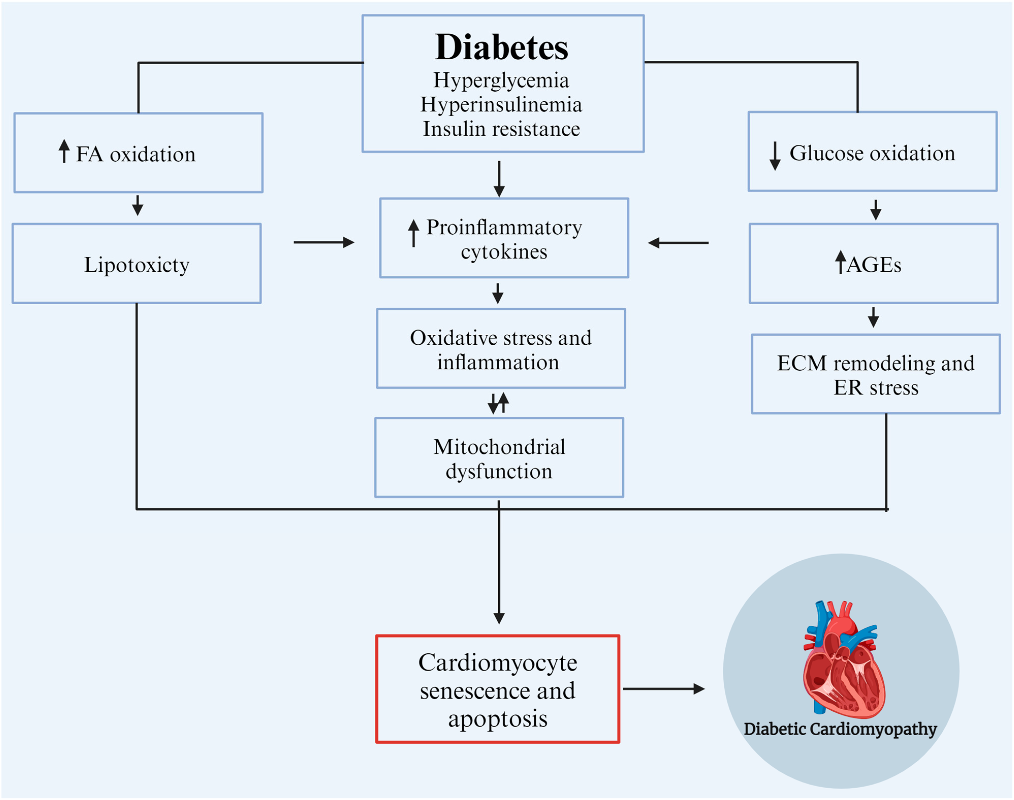 Biomedicines 12 00759 g001