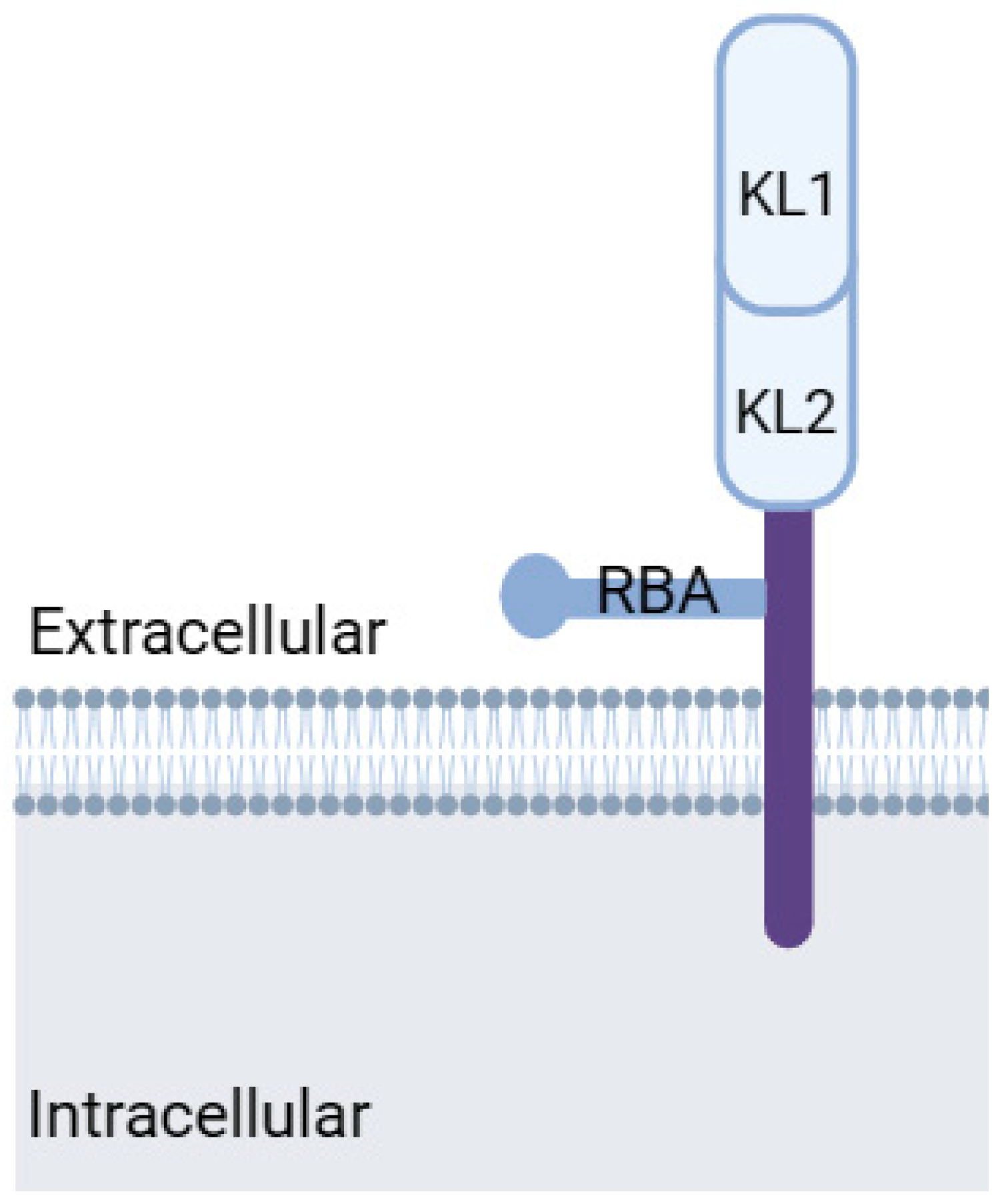 Biomedicines 12 00759 g003