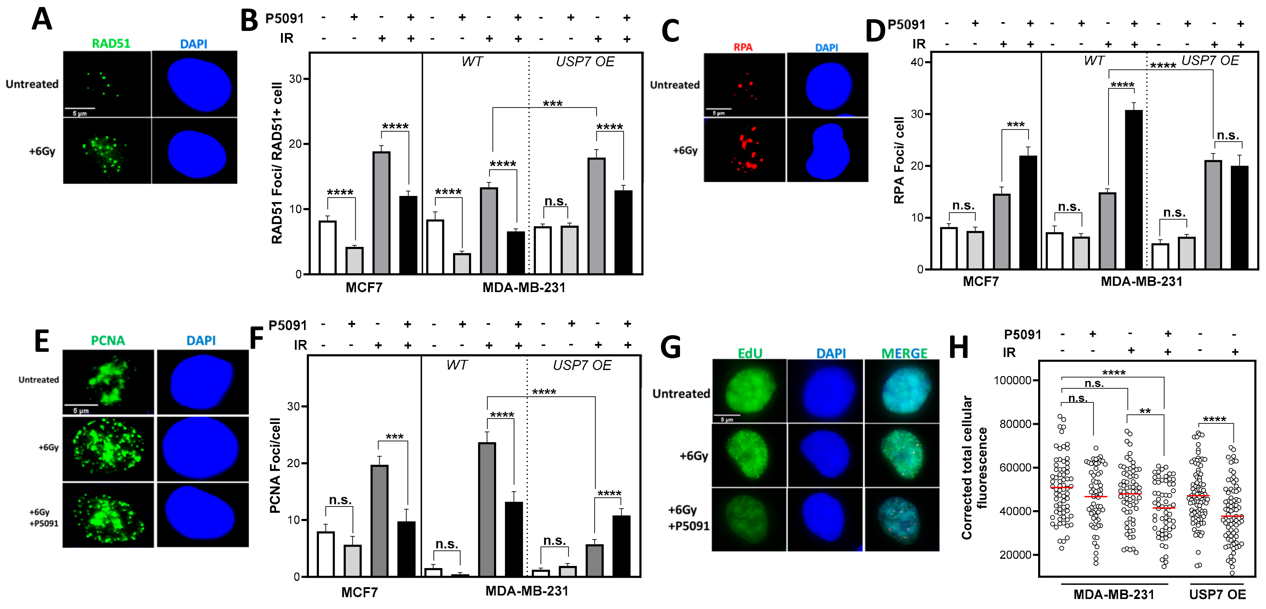 Biomedicines 12 00762 g004