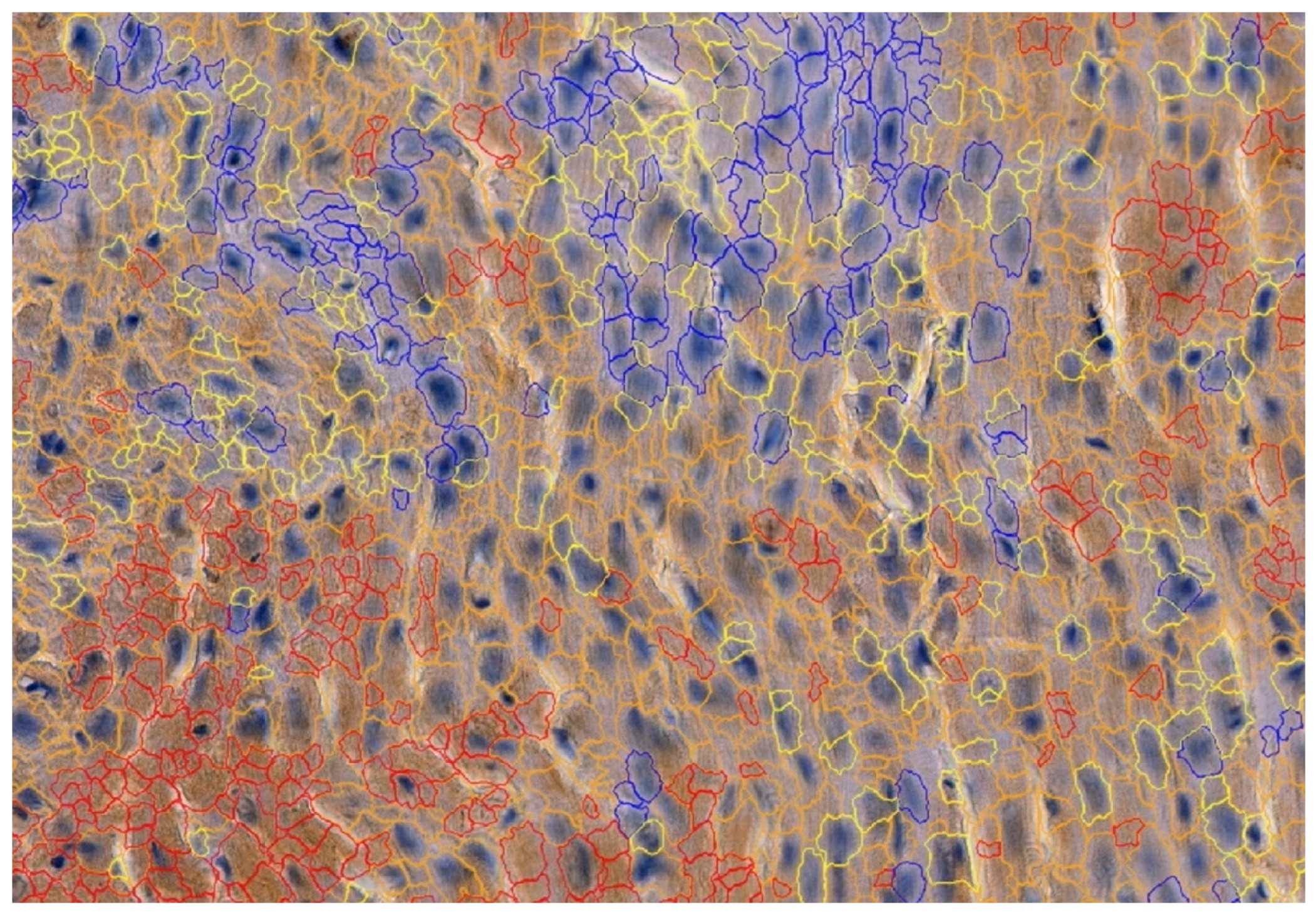 Biomedicines 12 00769 g003