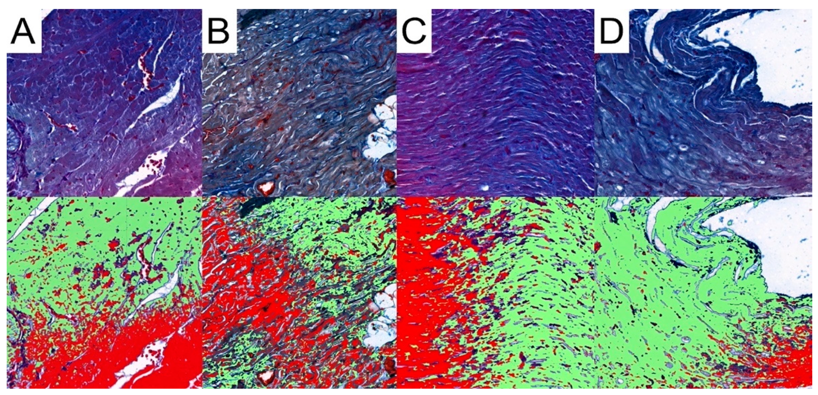 Biomedicines 12 00769 g007