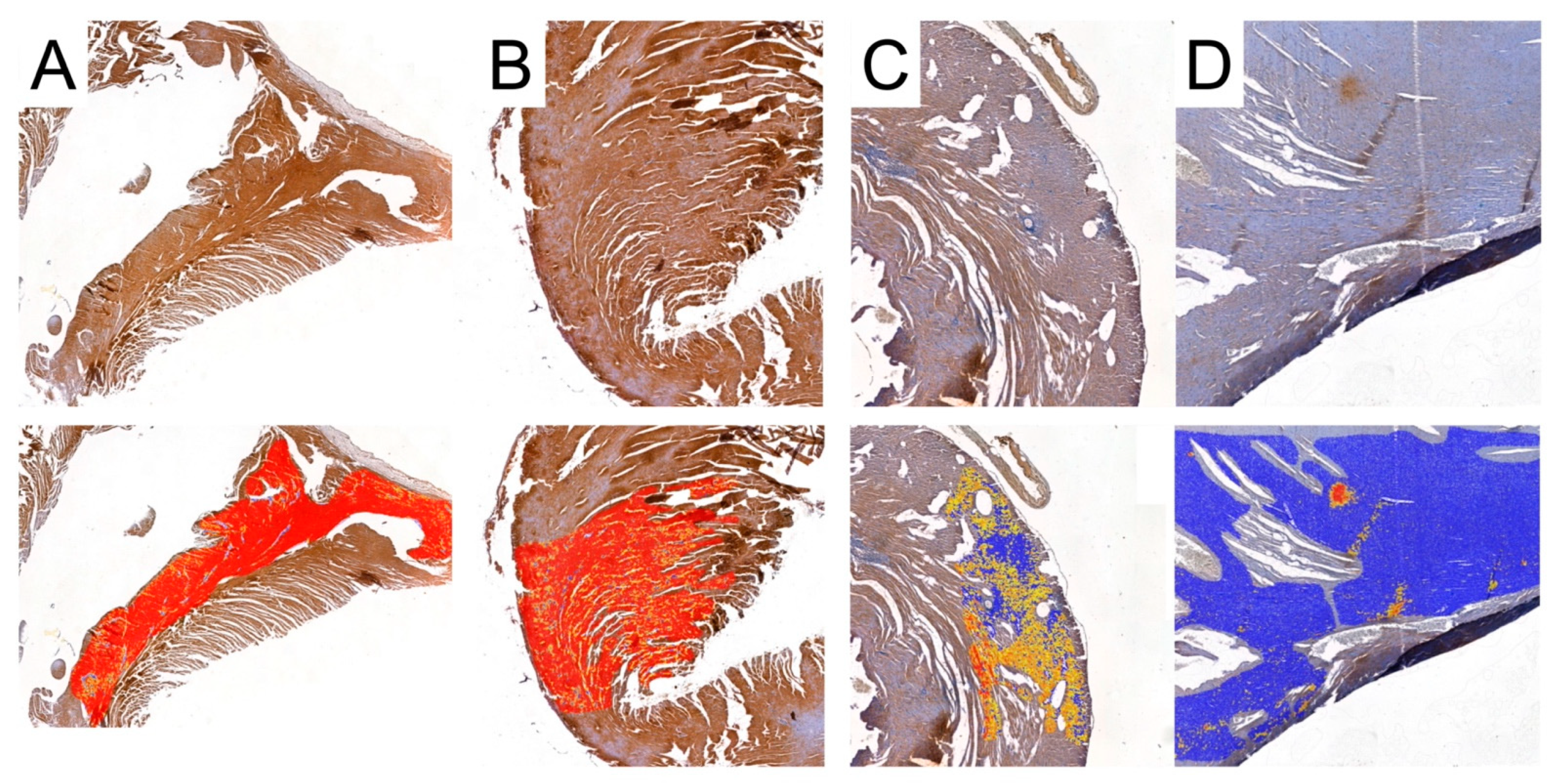 Biomedicines 12 00769 g009