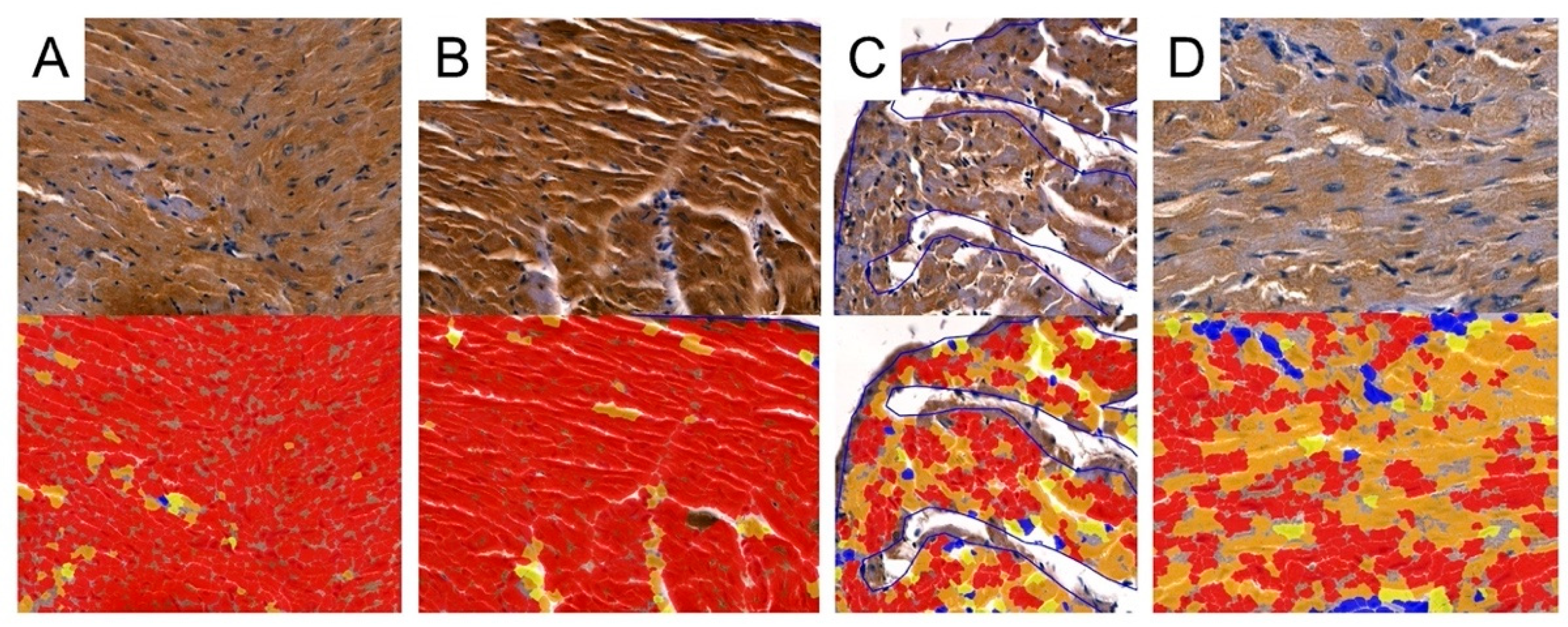 Biomedicines 12 00769 g010
