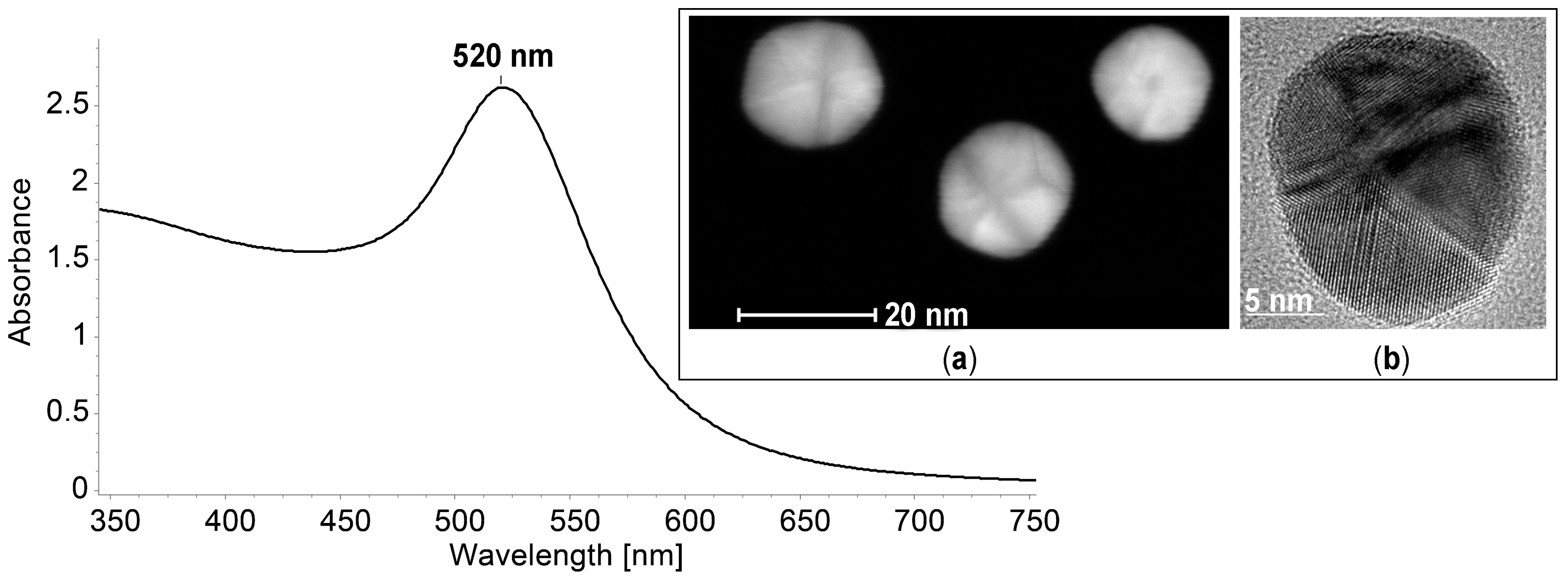 Biomedicines 12 00770 g010 Biomedicines 12 00770 g010