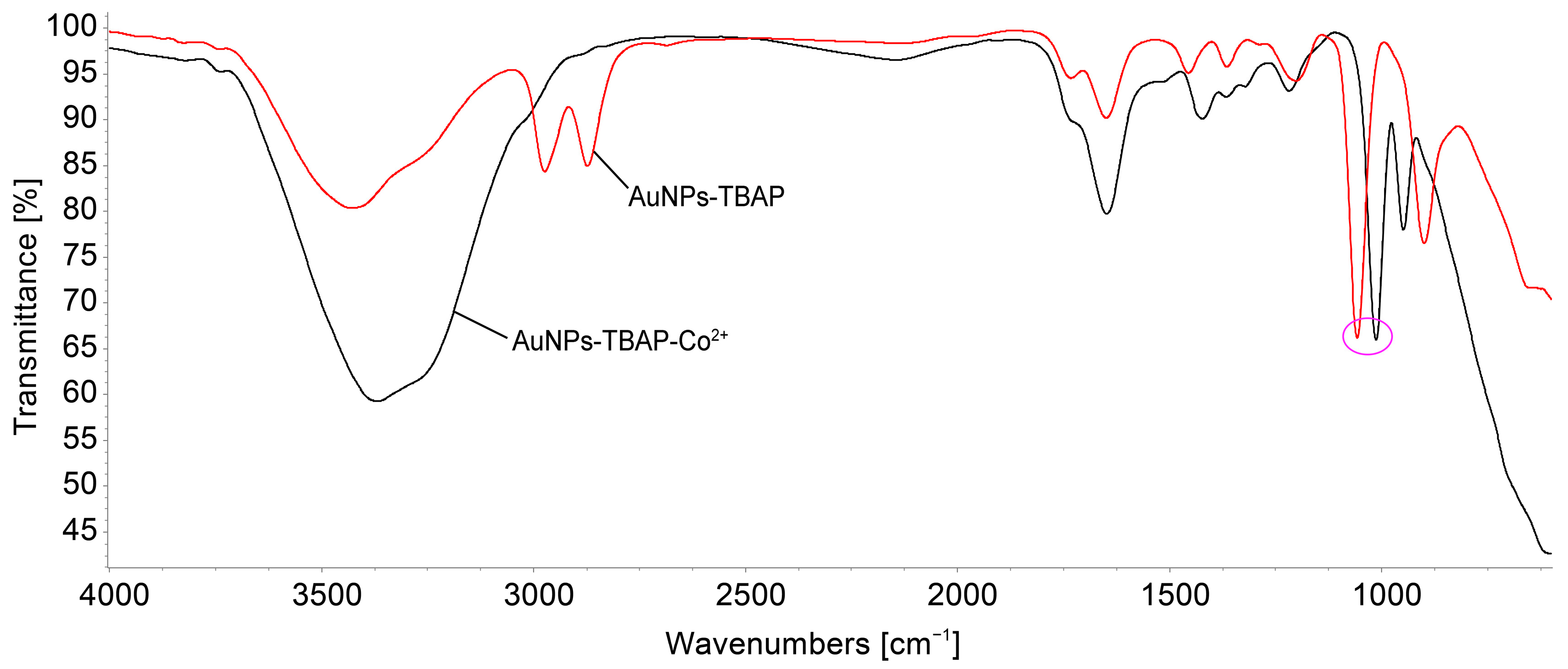 Biomedicines 12 00770 g022 Biomedicines 12 00770 g022