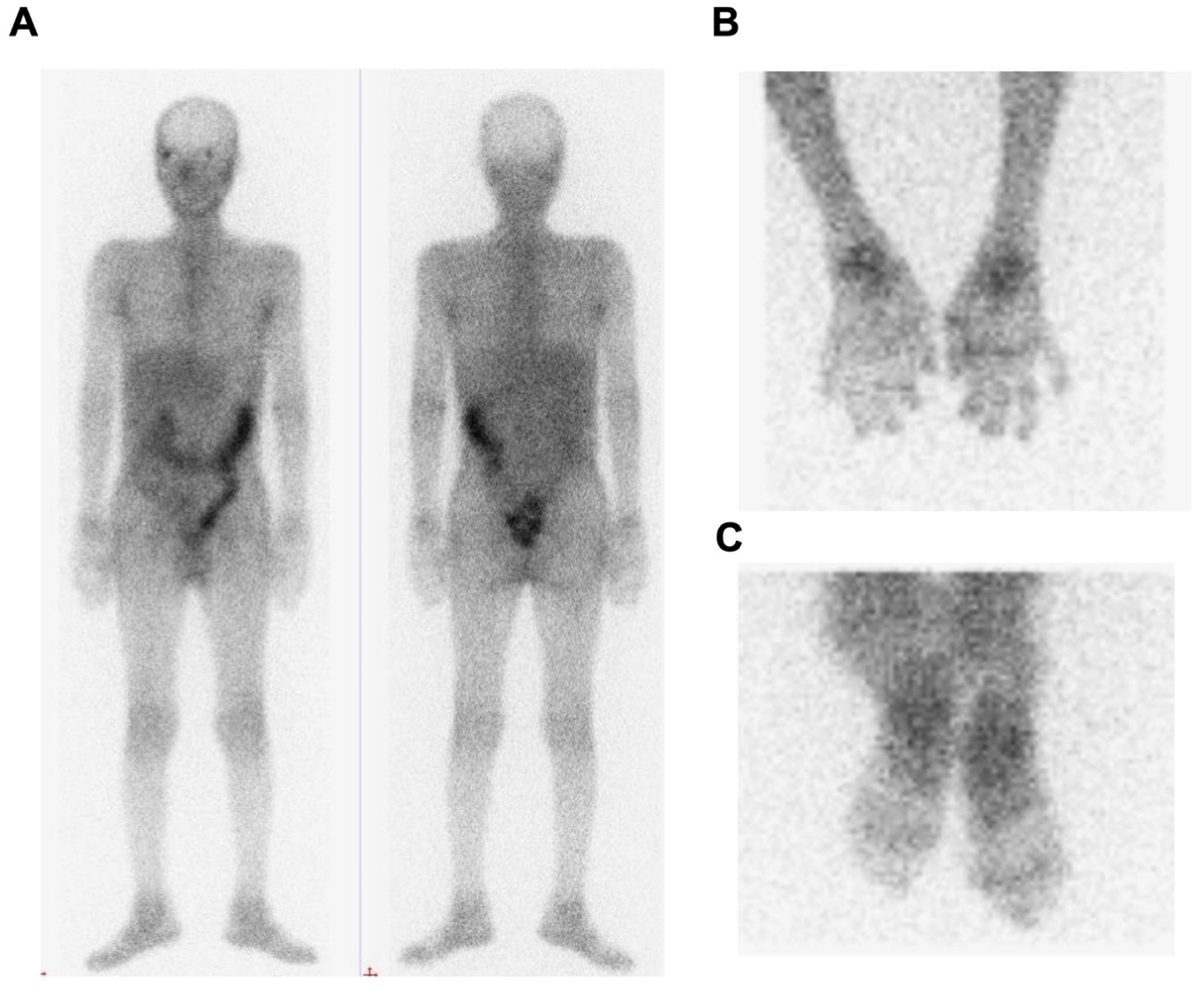 Biomedicines 12 00775 g002
