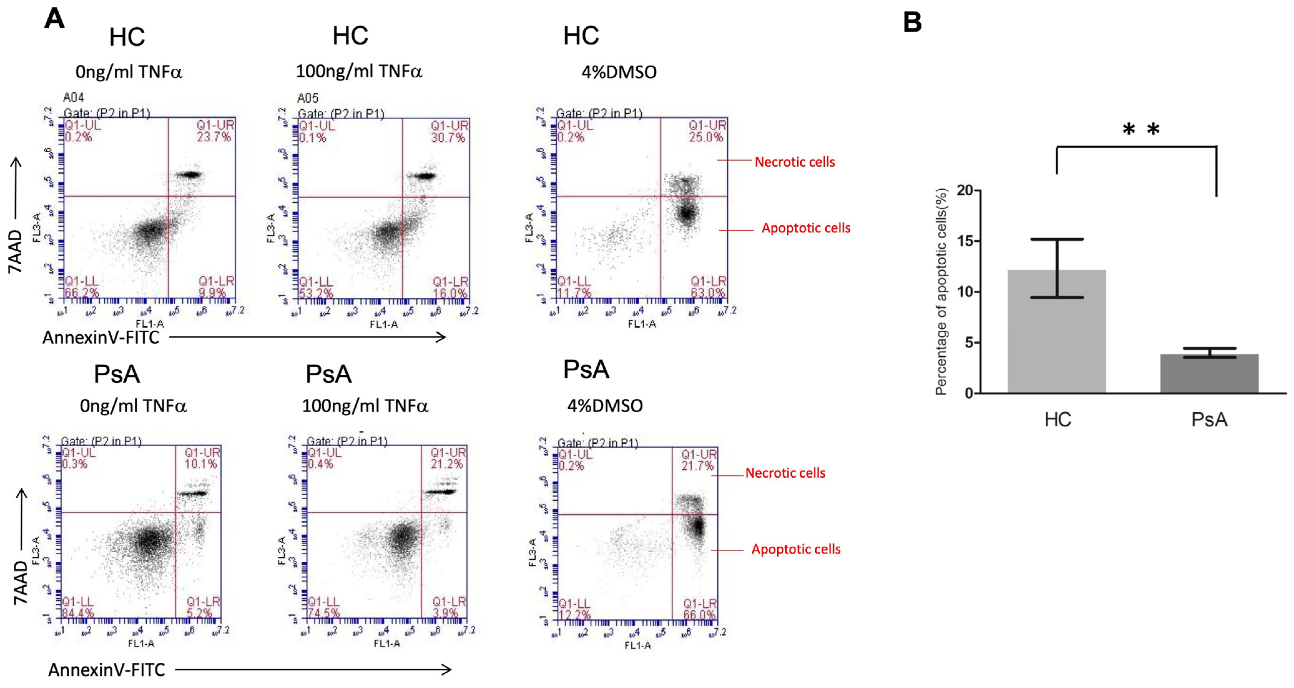 Biomedicines 12 00775 g004