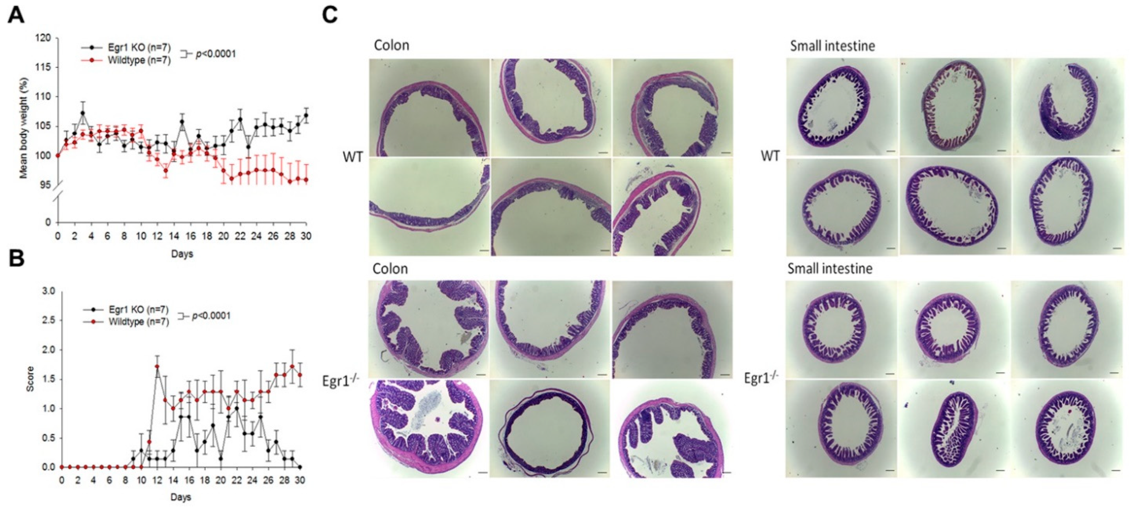 Biomedicines 12 00780 g002