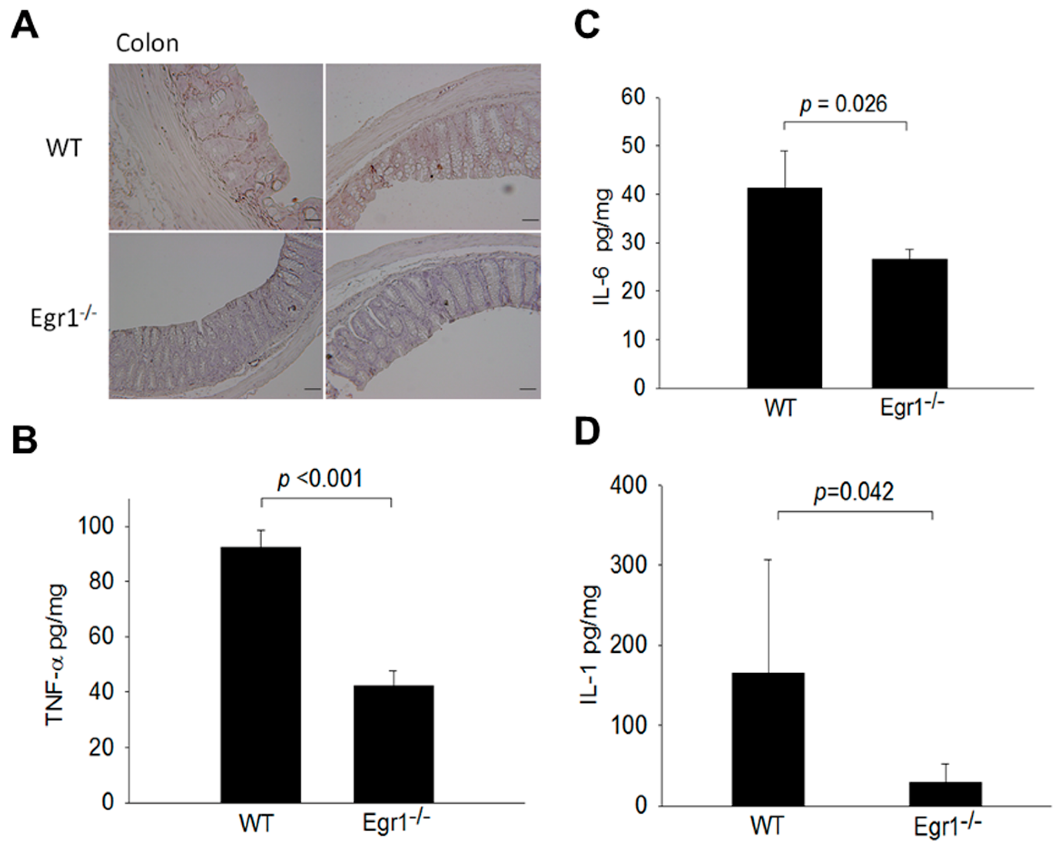 Biomedicines 12 00780 g003
