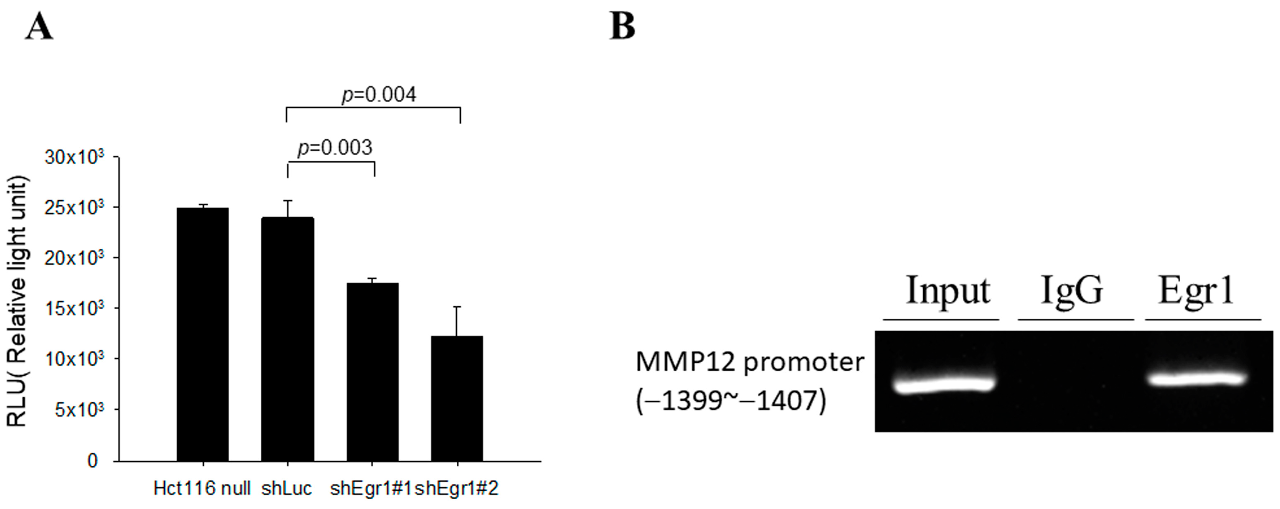 Biomedicines 12 00780 g004