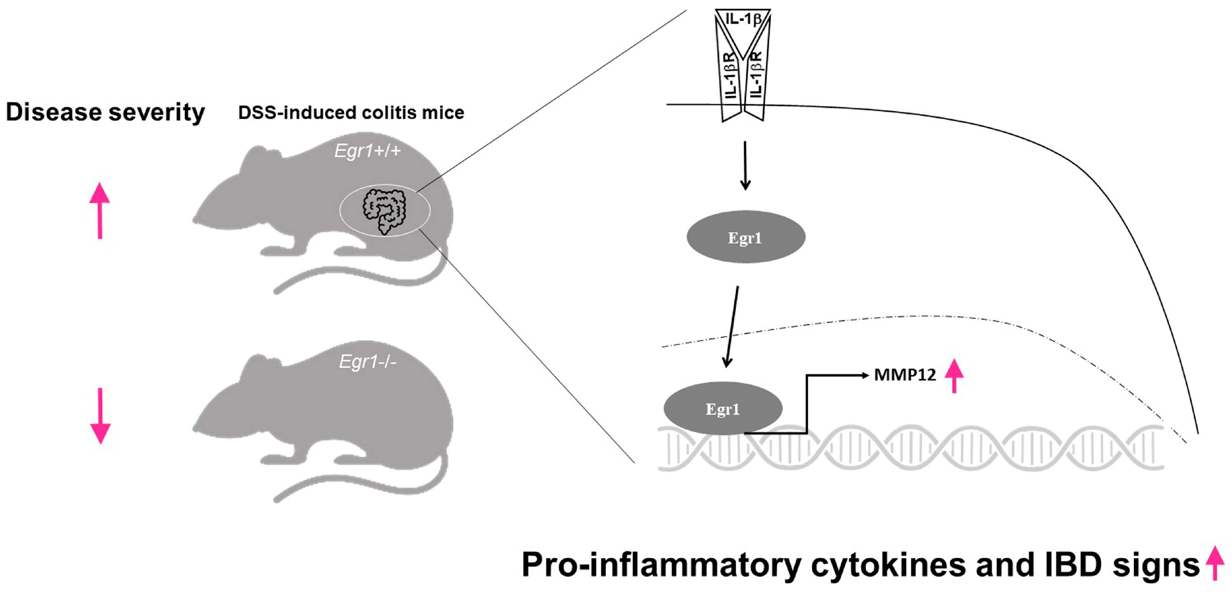 Biomedicines 12 00780 g006