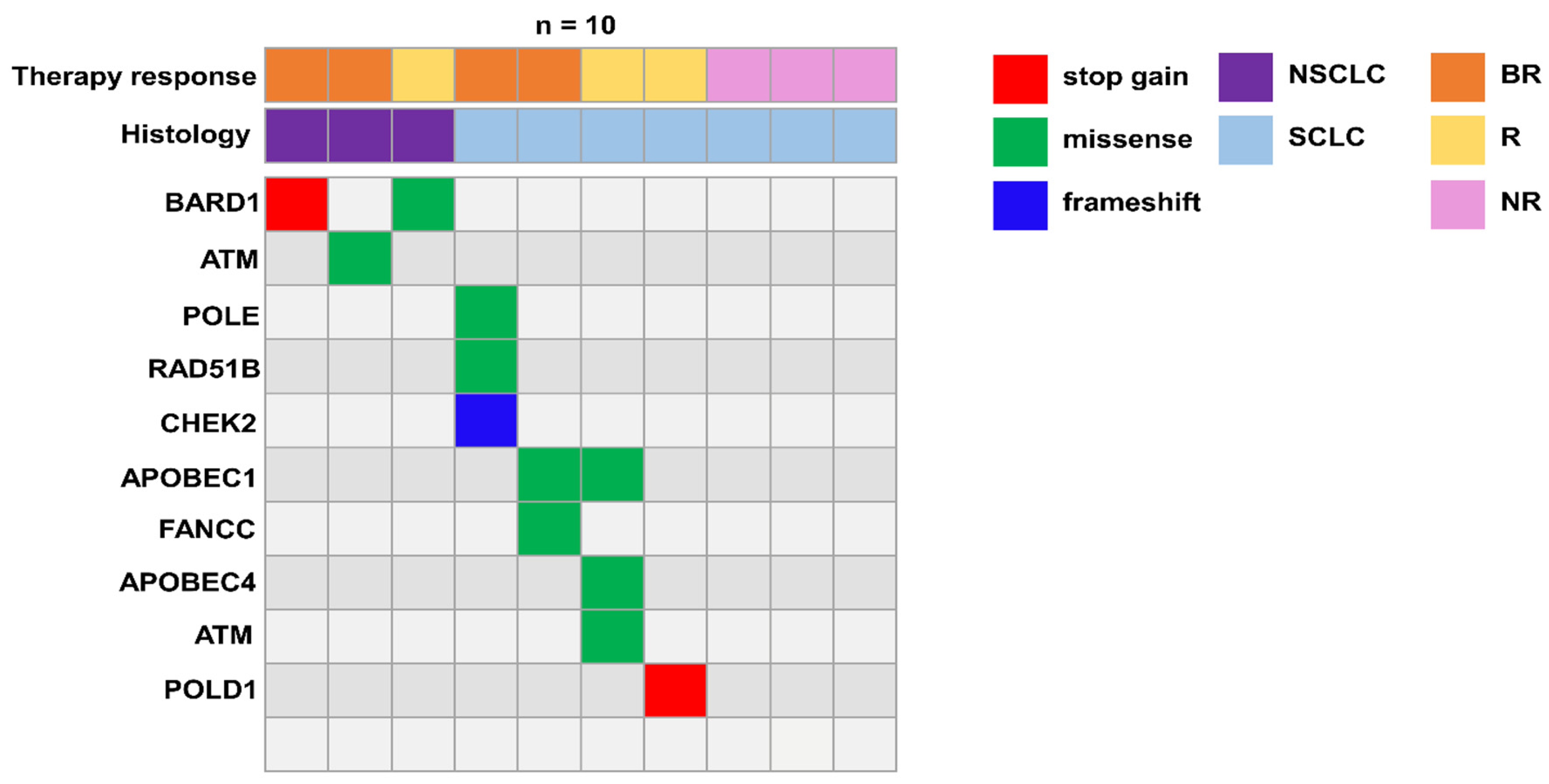Biomedicines 12 00809 g004
