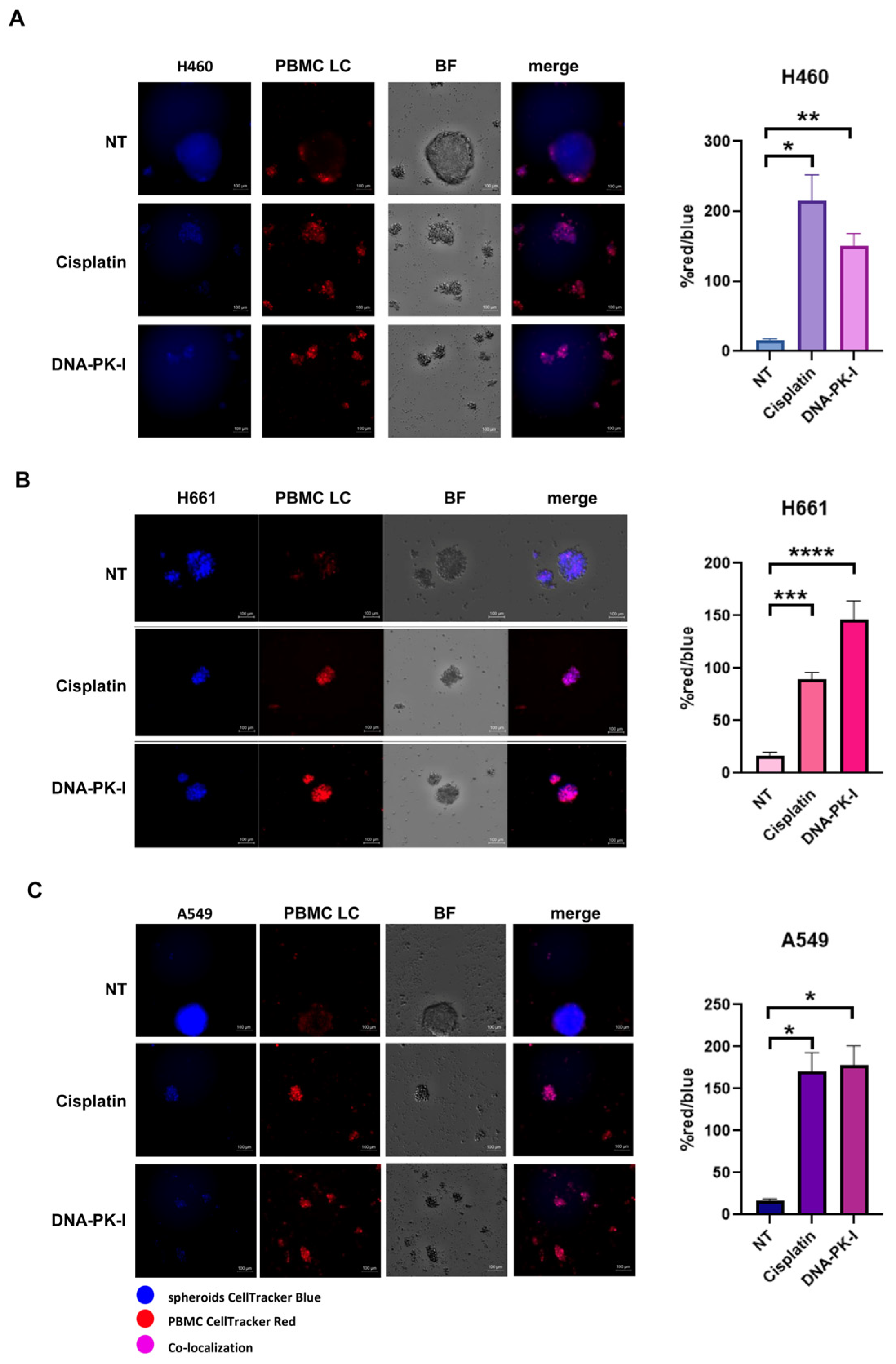Biomedicines 12 00809 g006