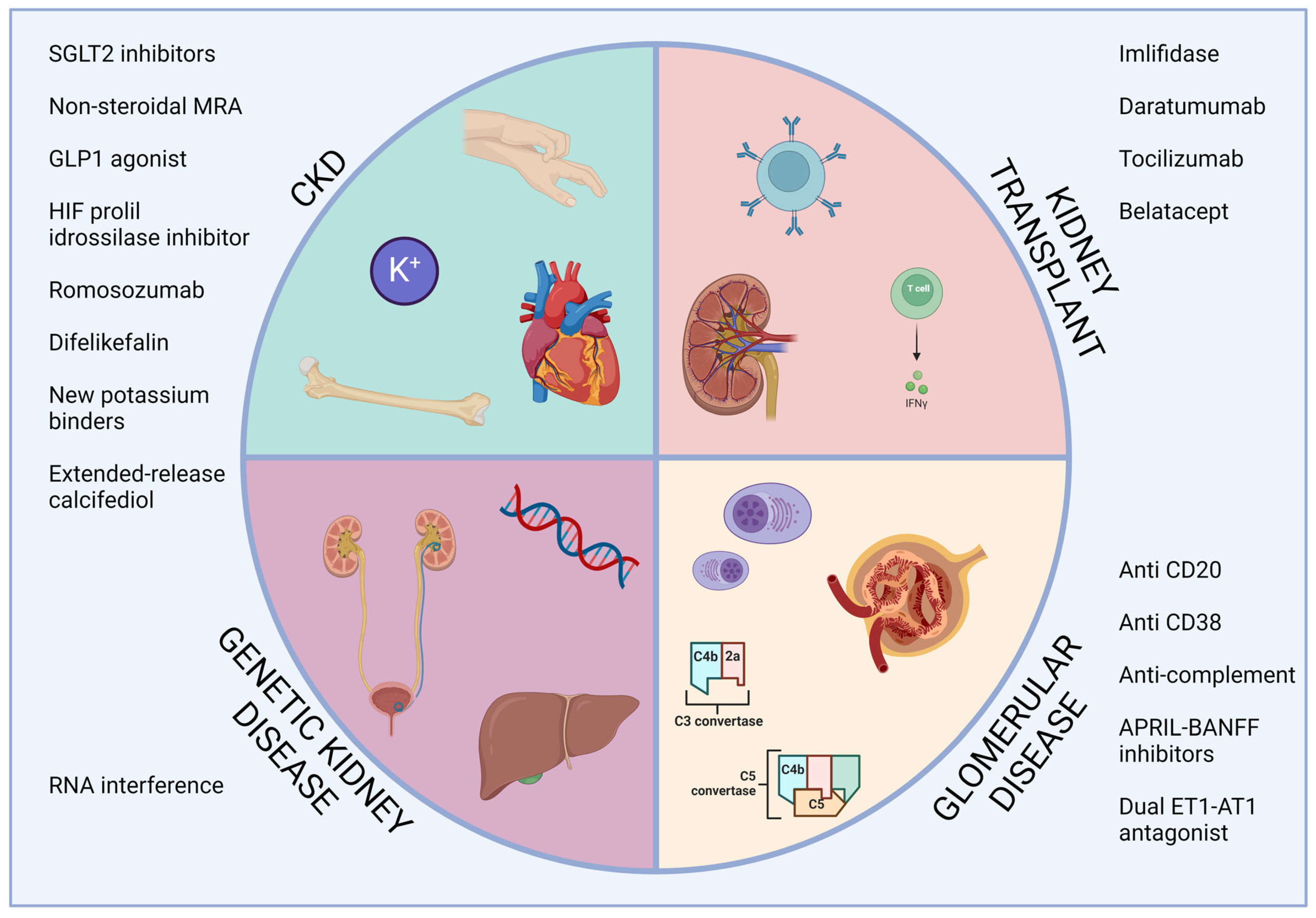 Biomedicines 12 00828 g001