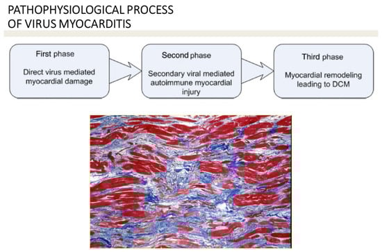 Biomedicines 12 00832 g016