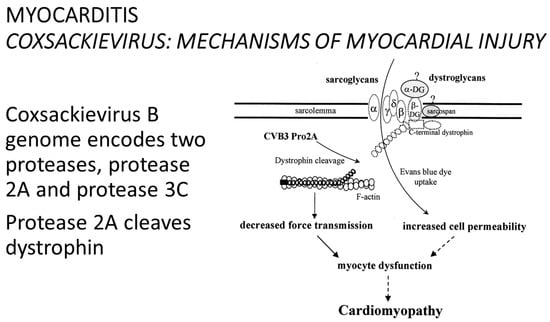 Biomedicines 12 00832 g028