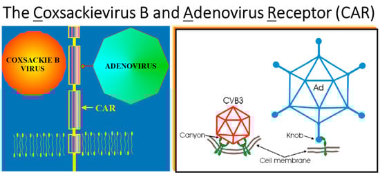Biomedicines 12 00832 g029