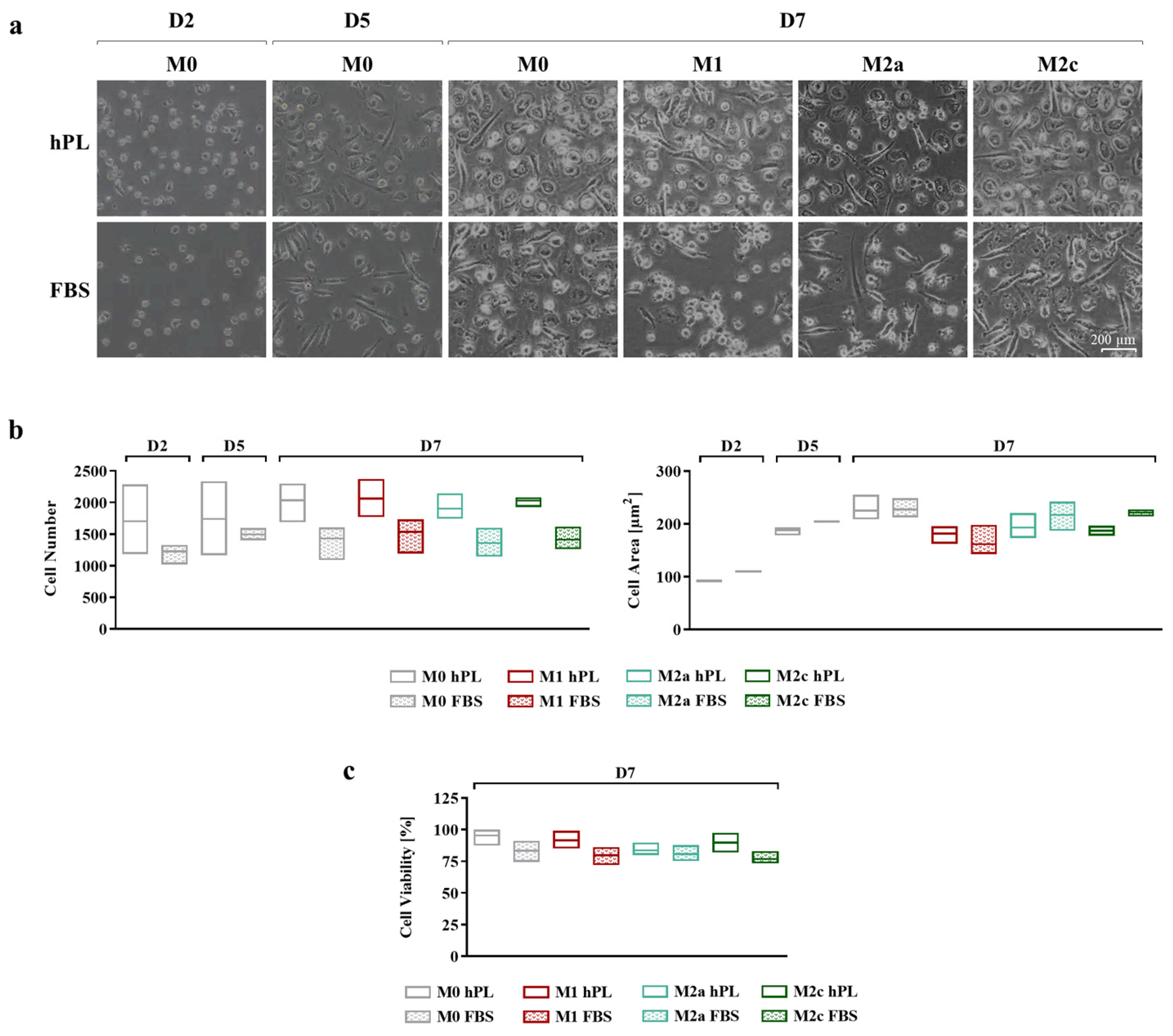 Biomedicines 12 00833 g002