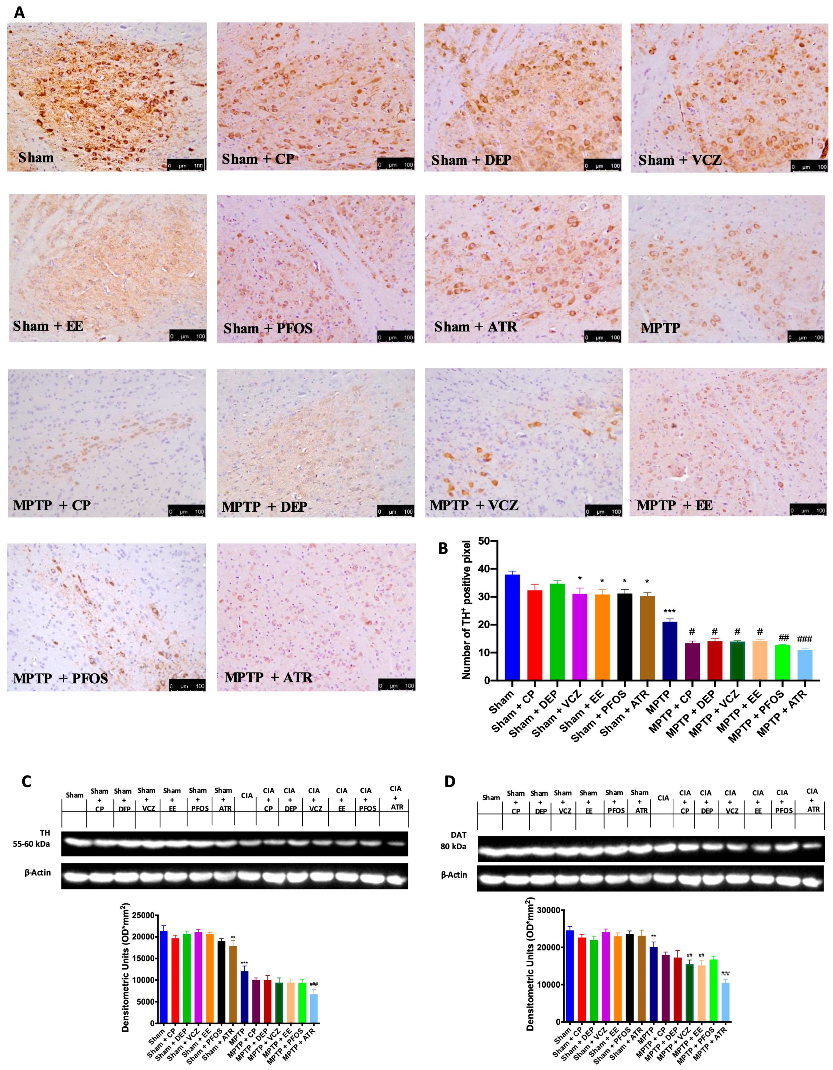 Biomedicines 12 00834 g002