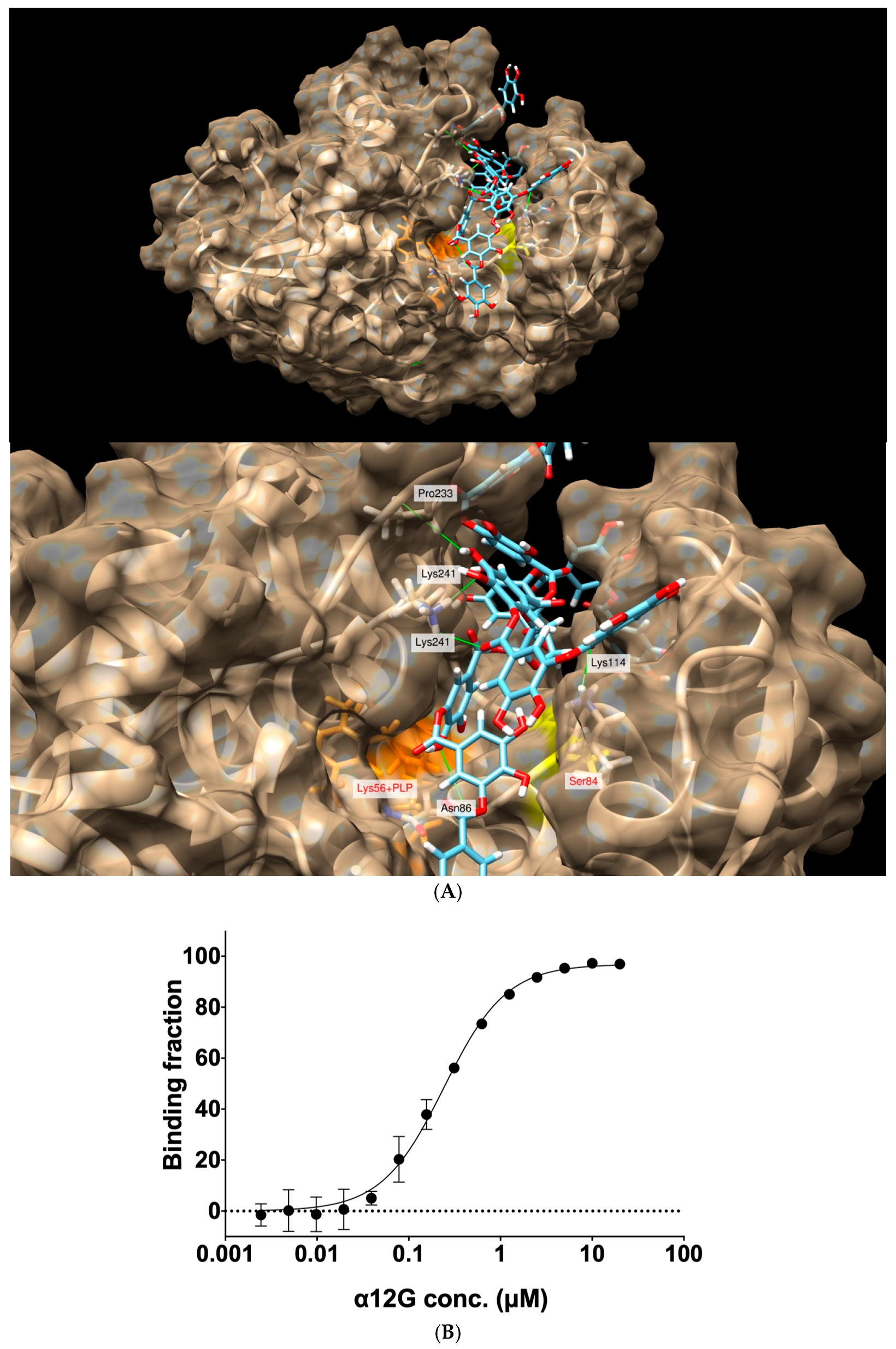 Biomedicines 12 00853 g004