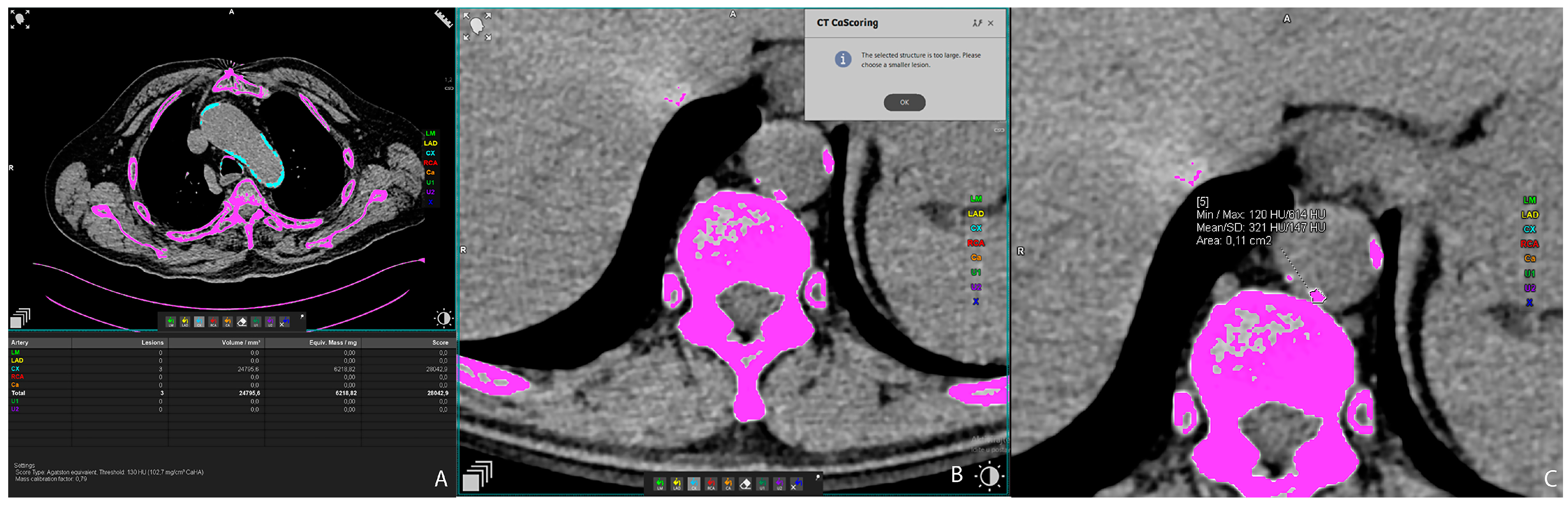 Biomedicines 12 00860 g001
