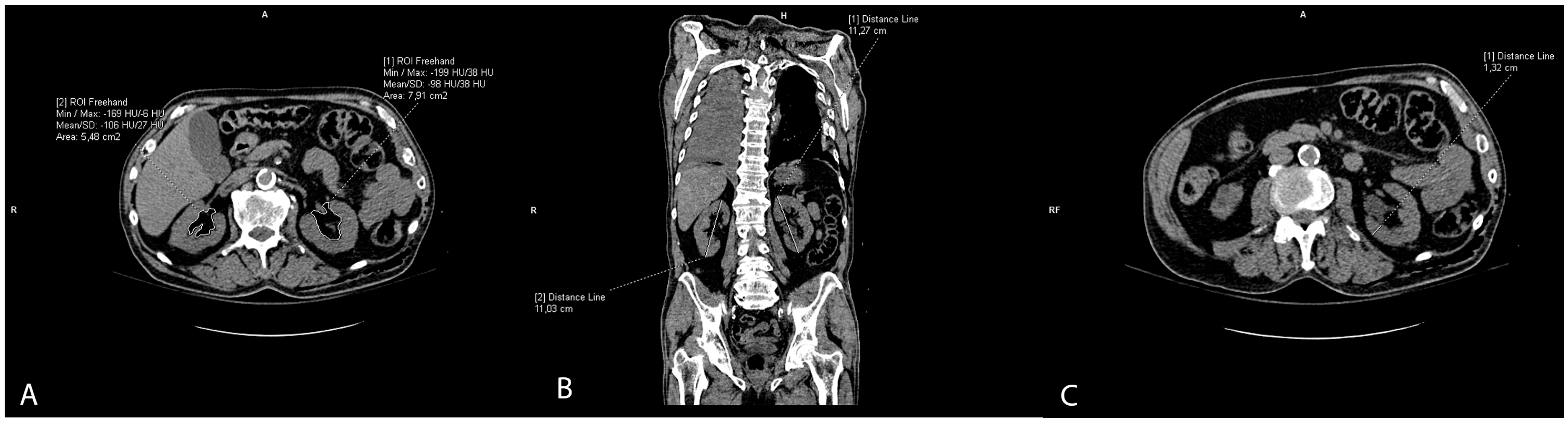 Biomedicines 12 00860 g003