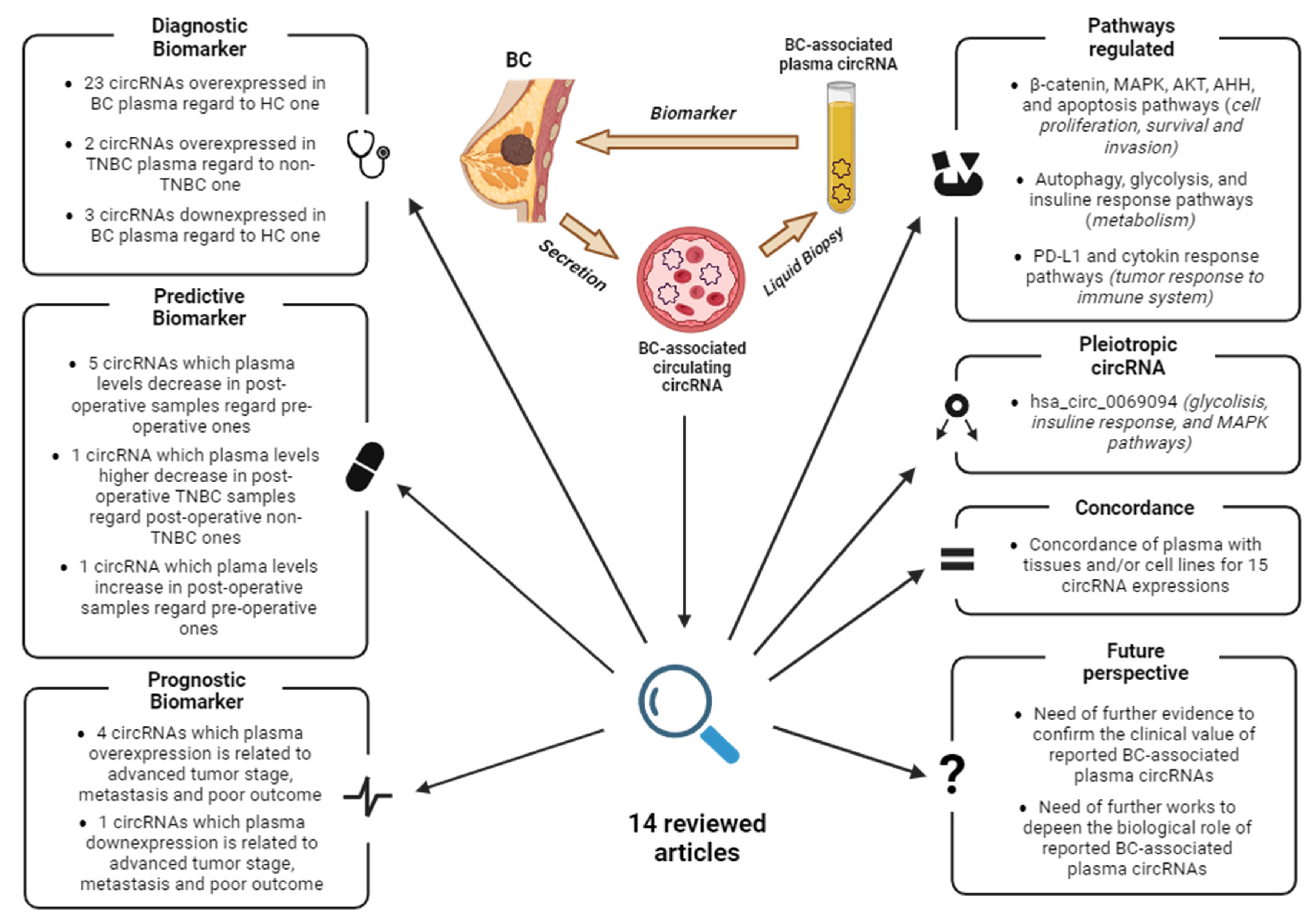Biomedicines 12 00875 g004