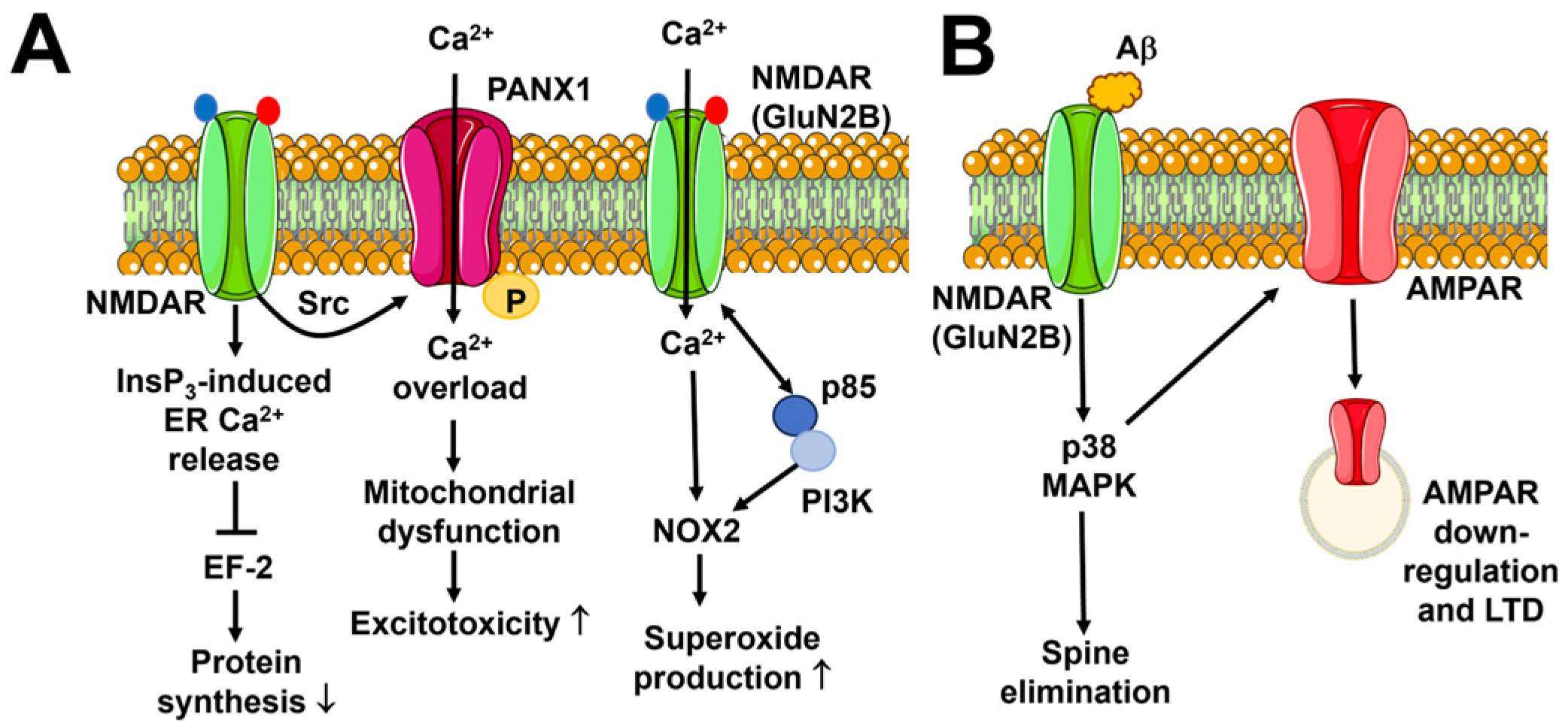 Biomedicines 12 00880 g005 Biomedicines 12 00880 g005