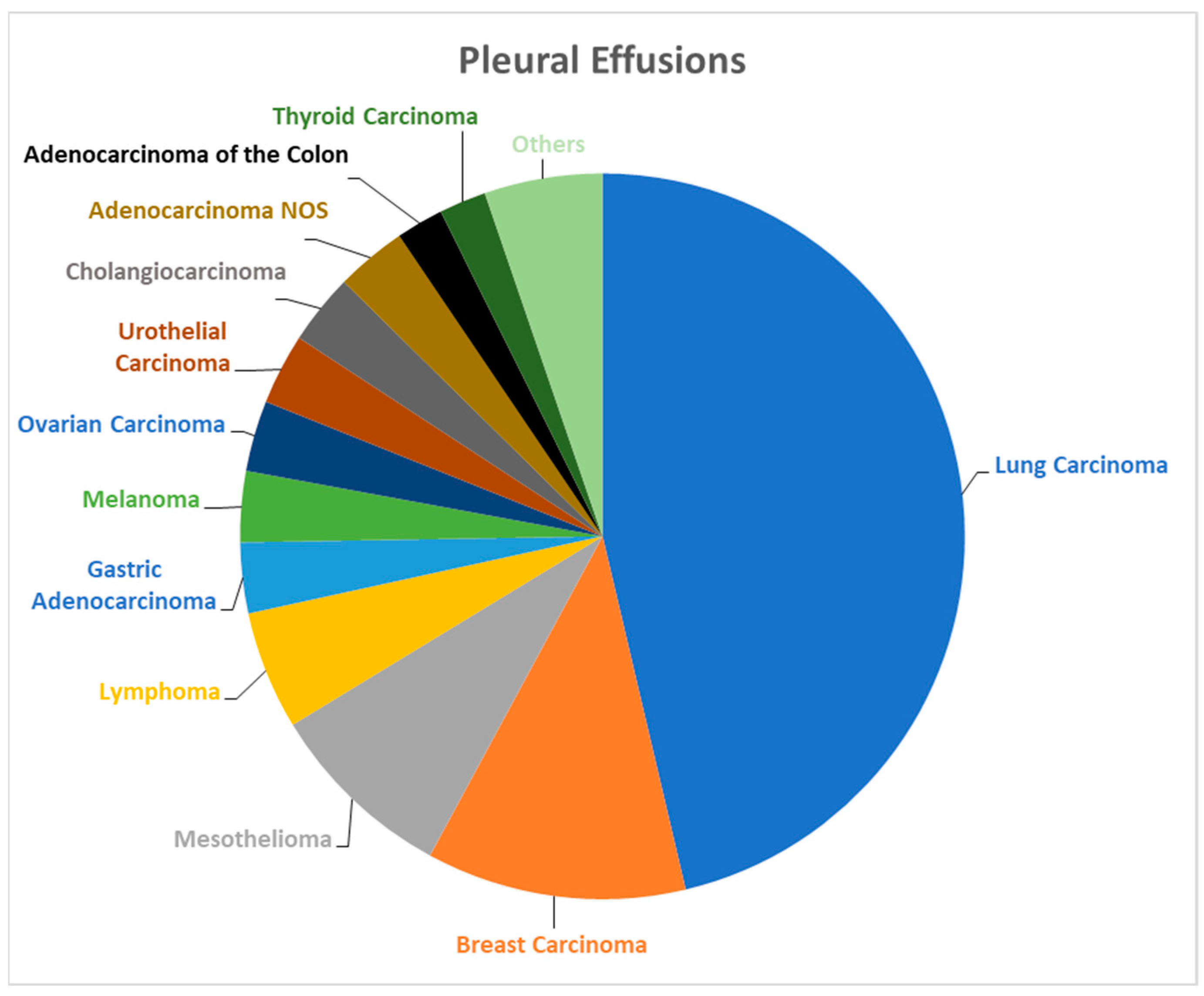 Biomedicines 12 00899 g001